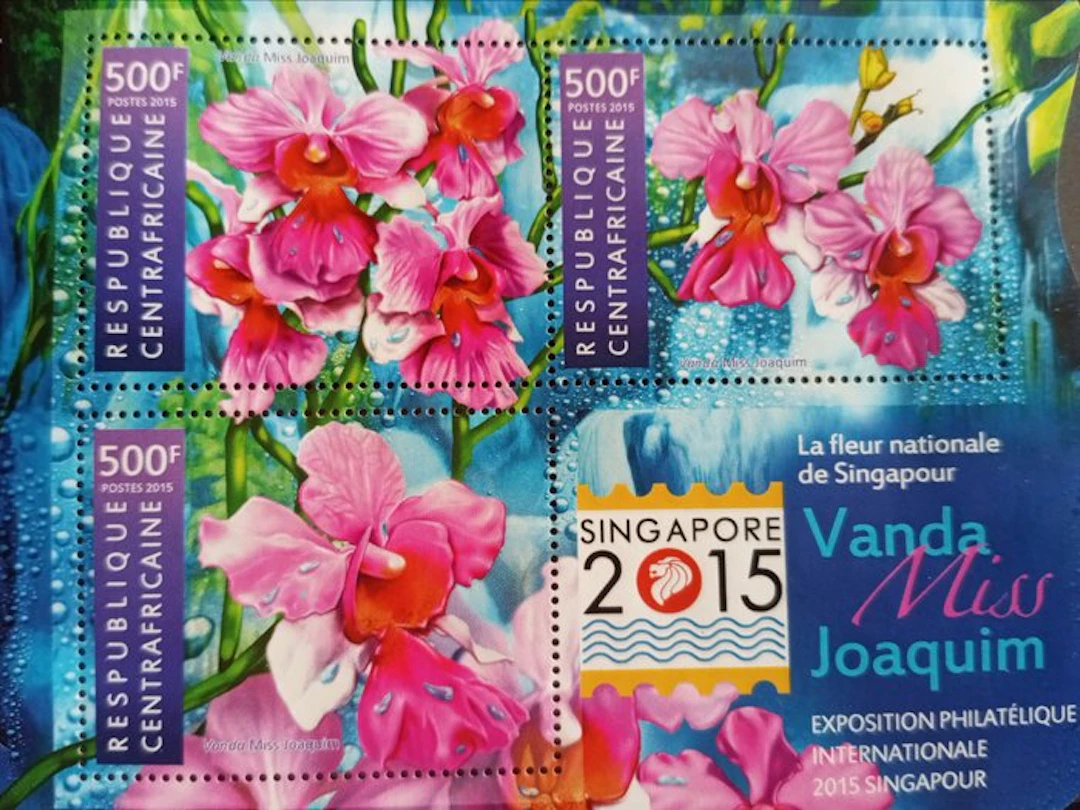 World 1985/2015 - Huge collection of orchid sets/blocks...
