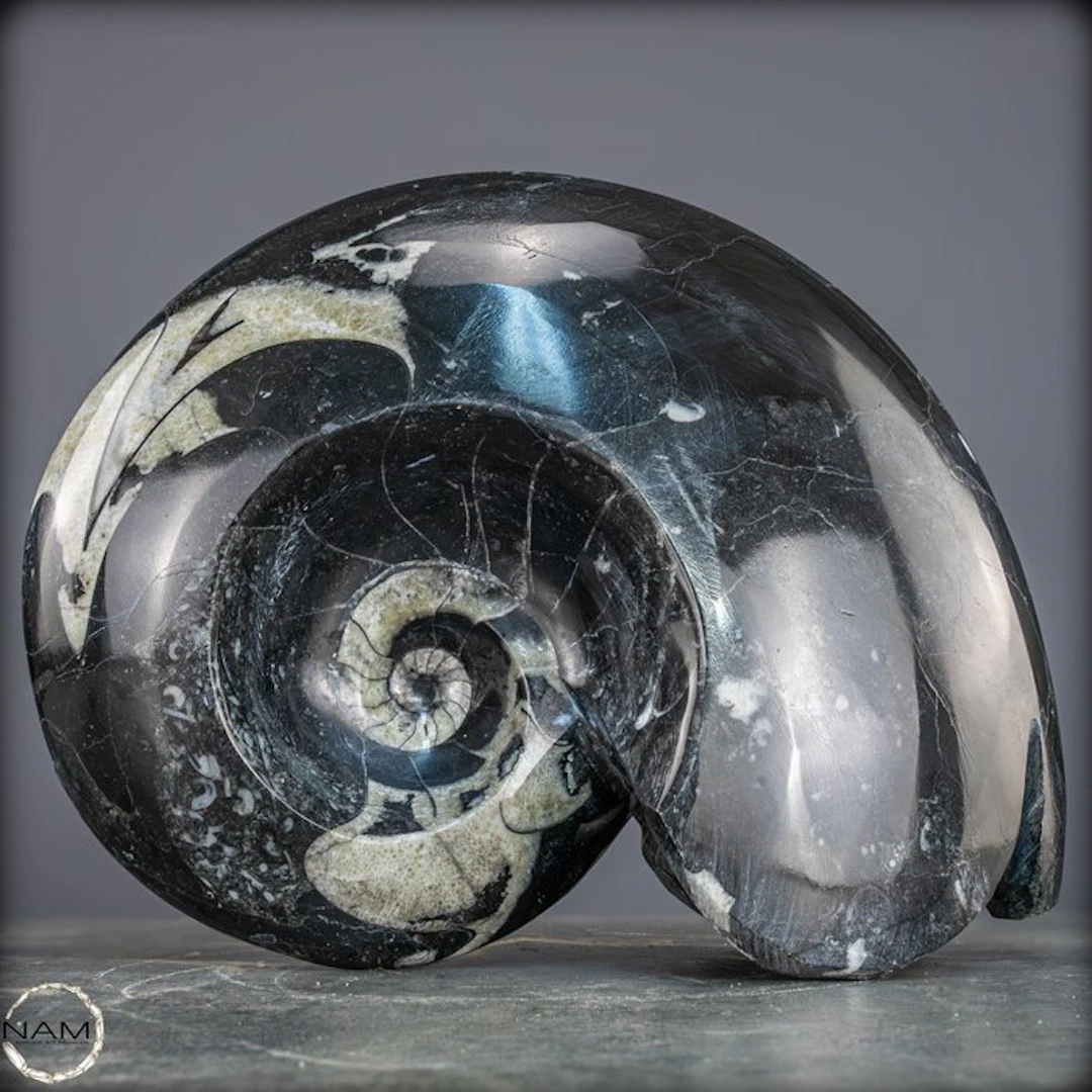 Impressive fossil goniatitid ammonite specimen from Morocco- 5410.12 g