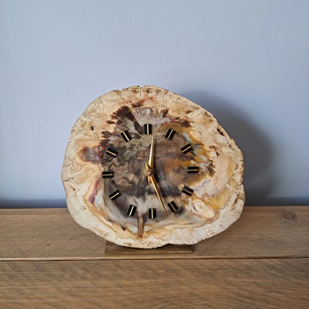 Fossil wood - Fossilised wood - 20 cm - 22 cm (No reserve price)