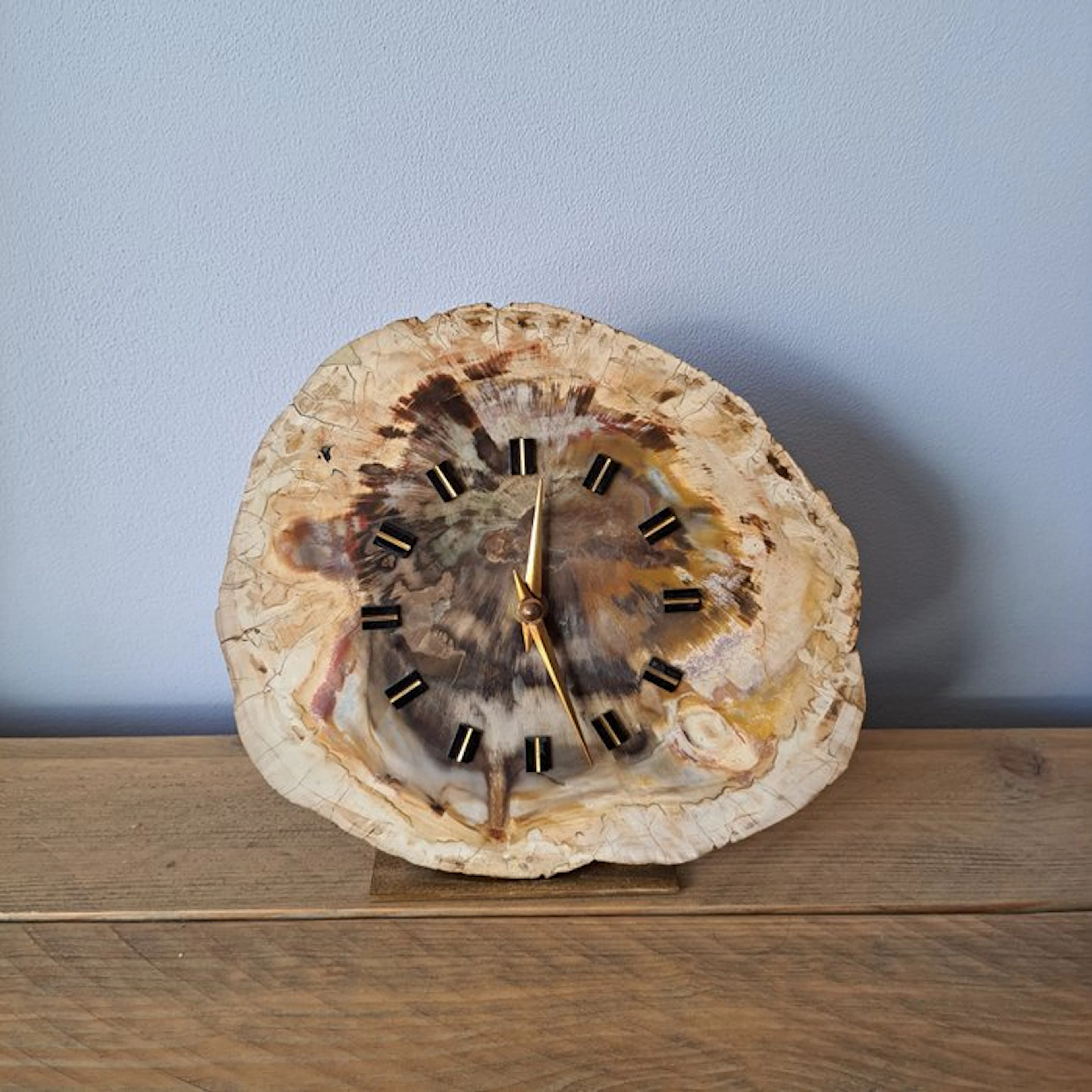 Fossil wood - Fossilised wood - 20 cm - 22 cm (No reserve price)