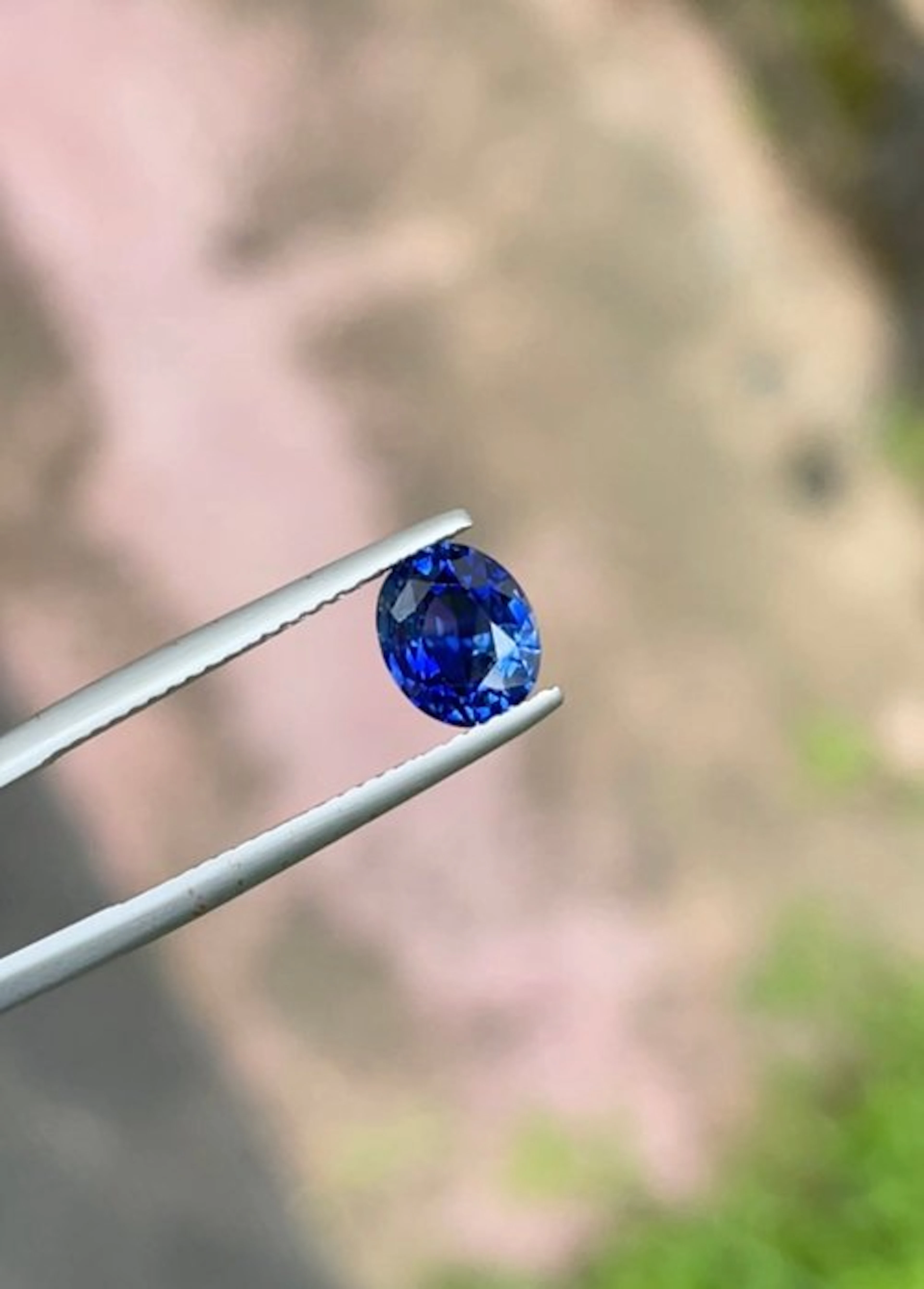 No reserve price - 1 pcs Blue Sapphire - 1.63 ct - Guild...
