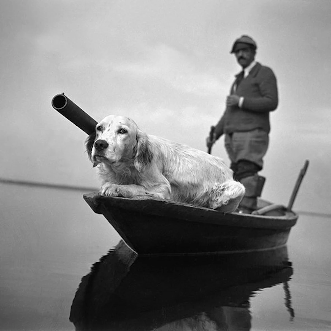 Camerapohoto Epoche/Vittorio Pavan - 16-Caccia in valle-Venezia 1946-