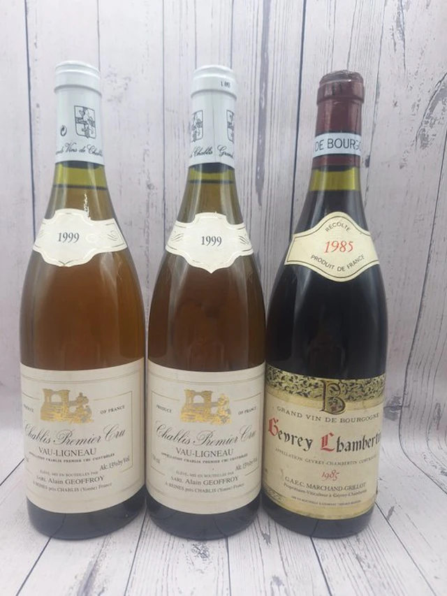 1999 x 2 Alain Geoffroy