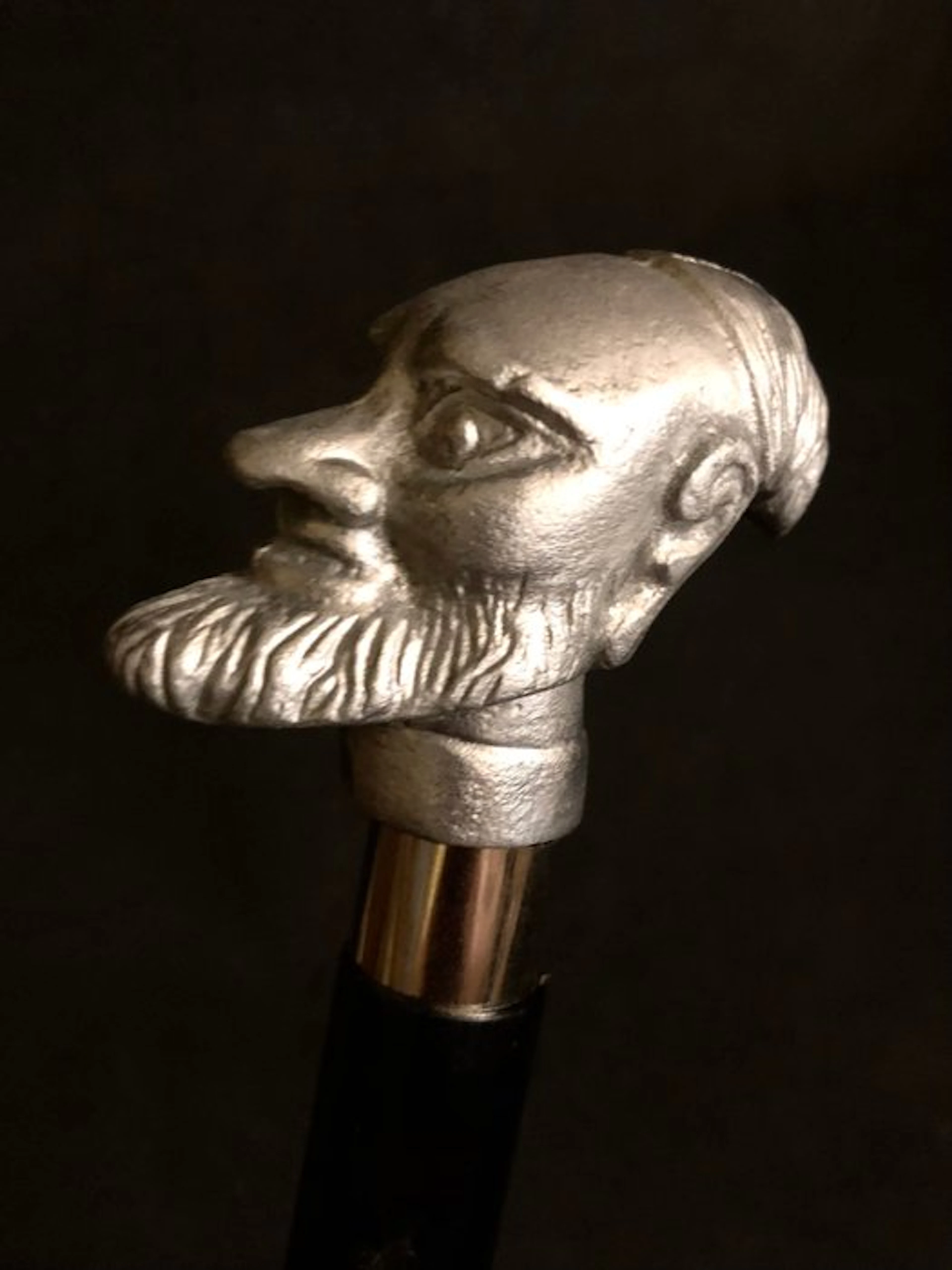 Walking stick - A curious