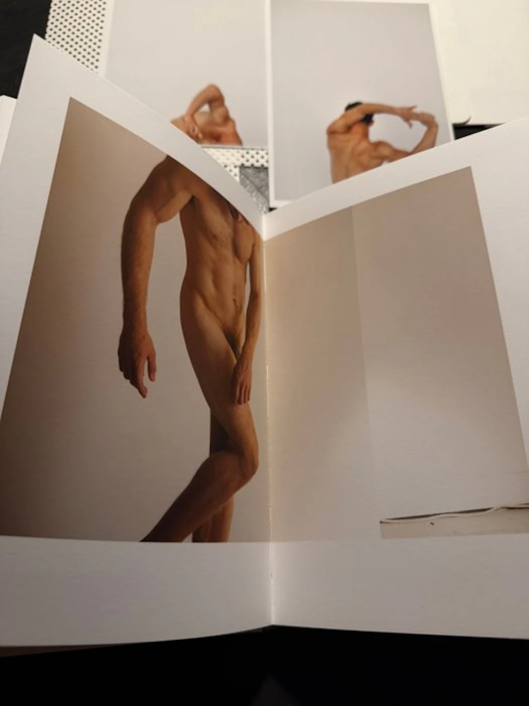 Laurent Champoussin - RODIN