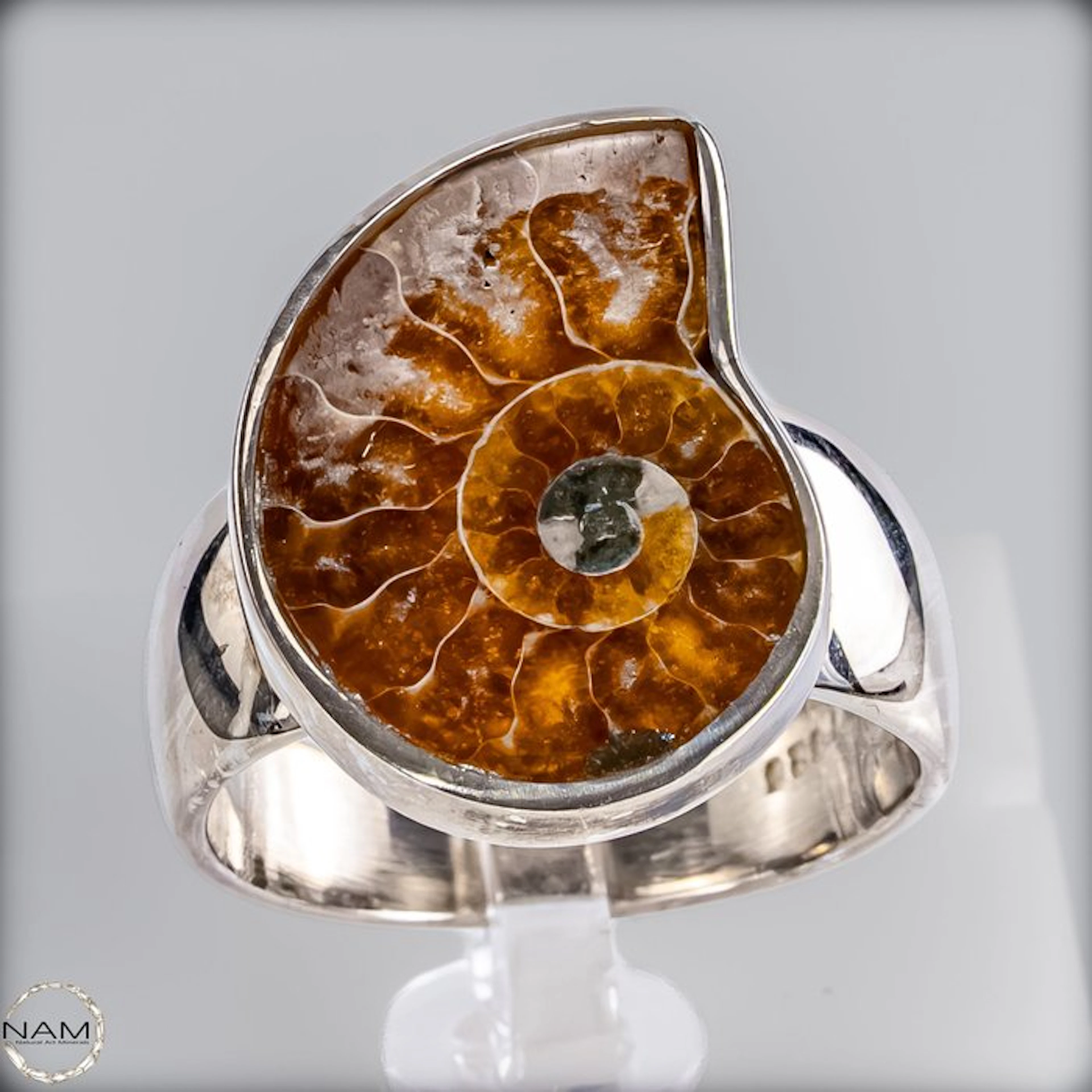 Unique Ammonite Ring – Fossilized Snail in a high-quality...