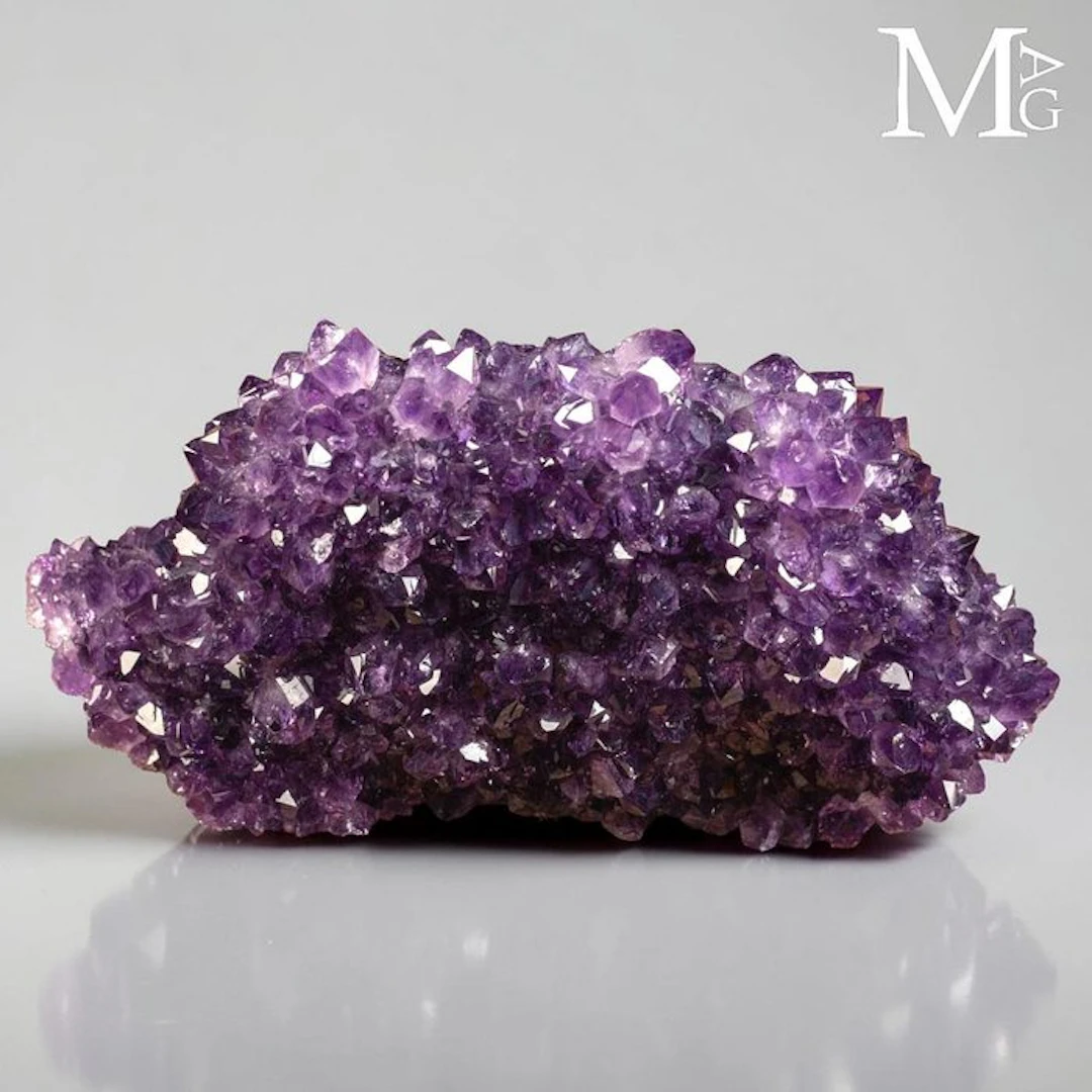 Extra Quality Uruguay Purple Fire