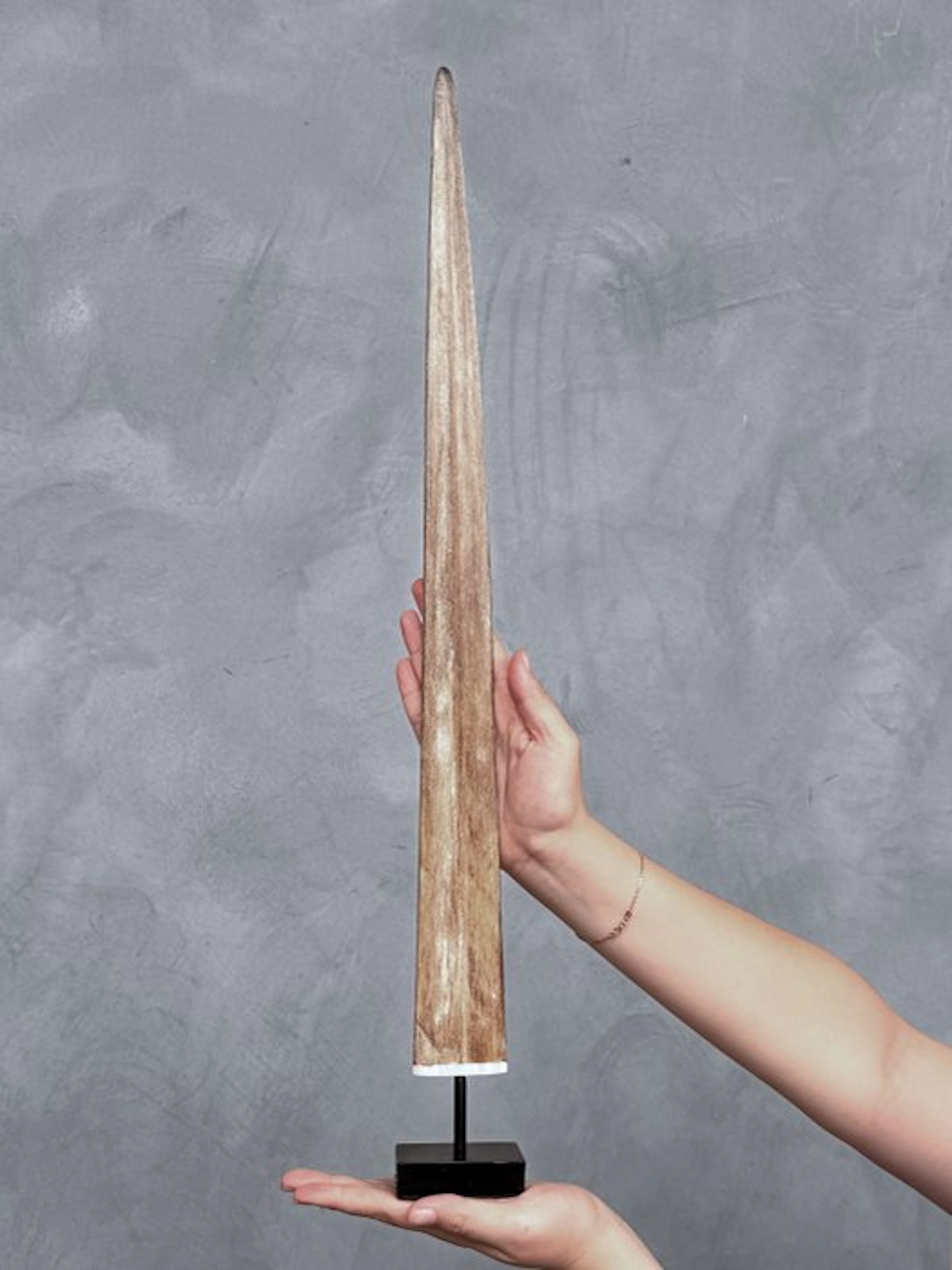 NO RESERVE PRICE - Stunning Swordfish tusk mounted on a...