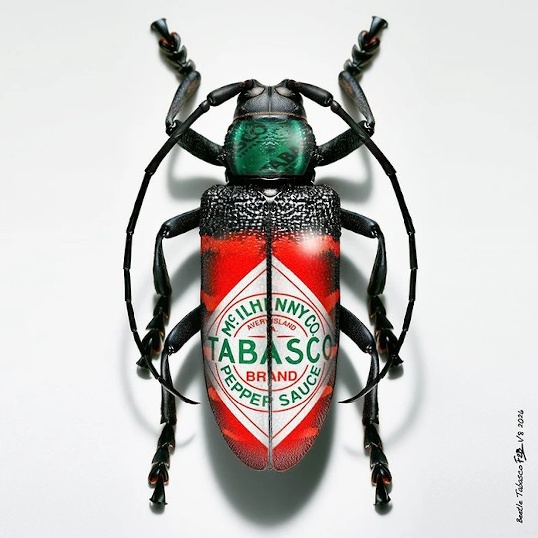 F2B - Beetle Tabasco 1I8