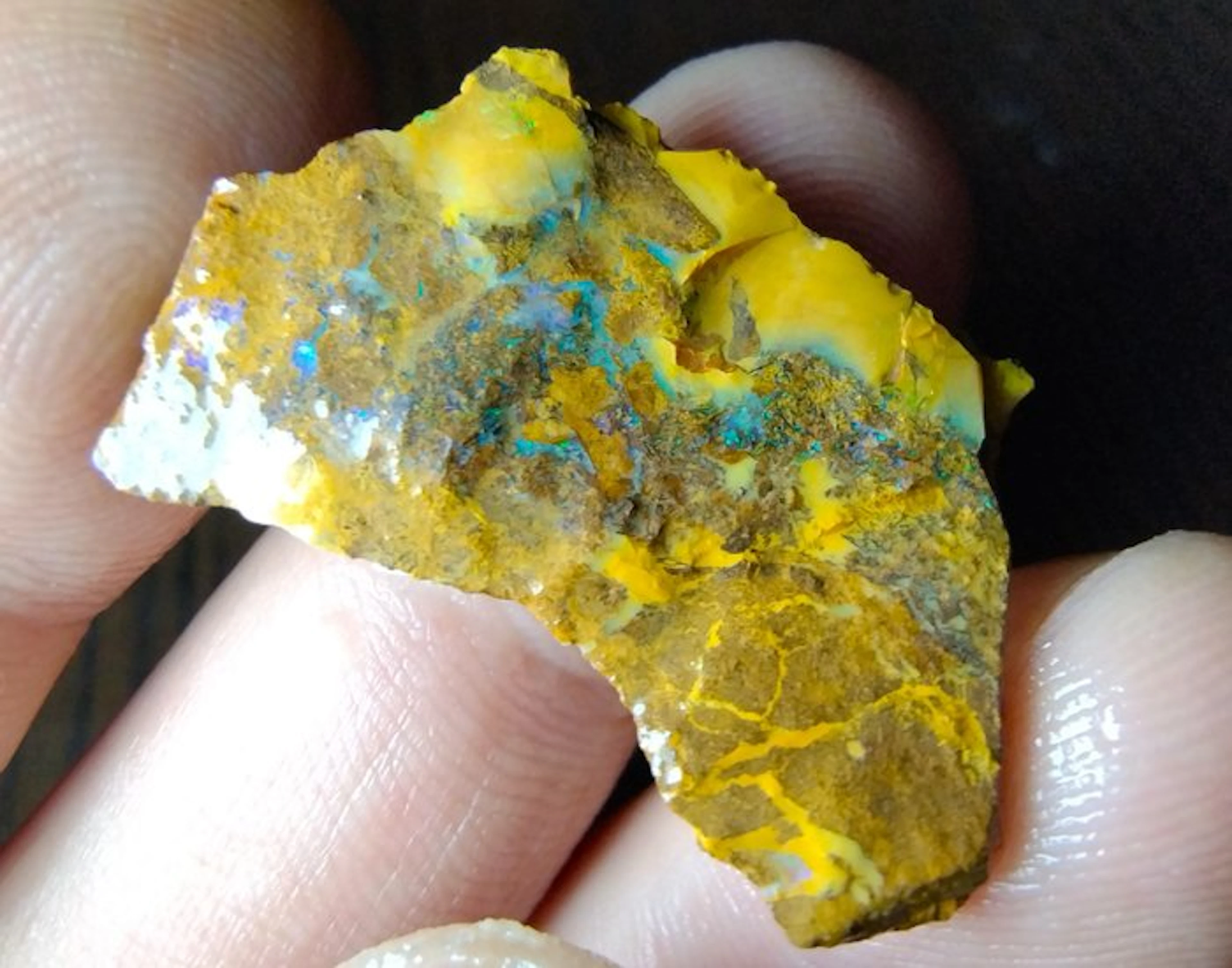 20.5 cts - Natural Australian Boulder Opal Rough- 4.1 g