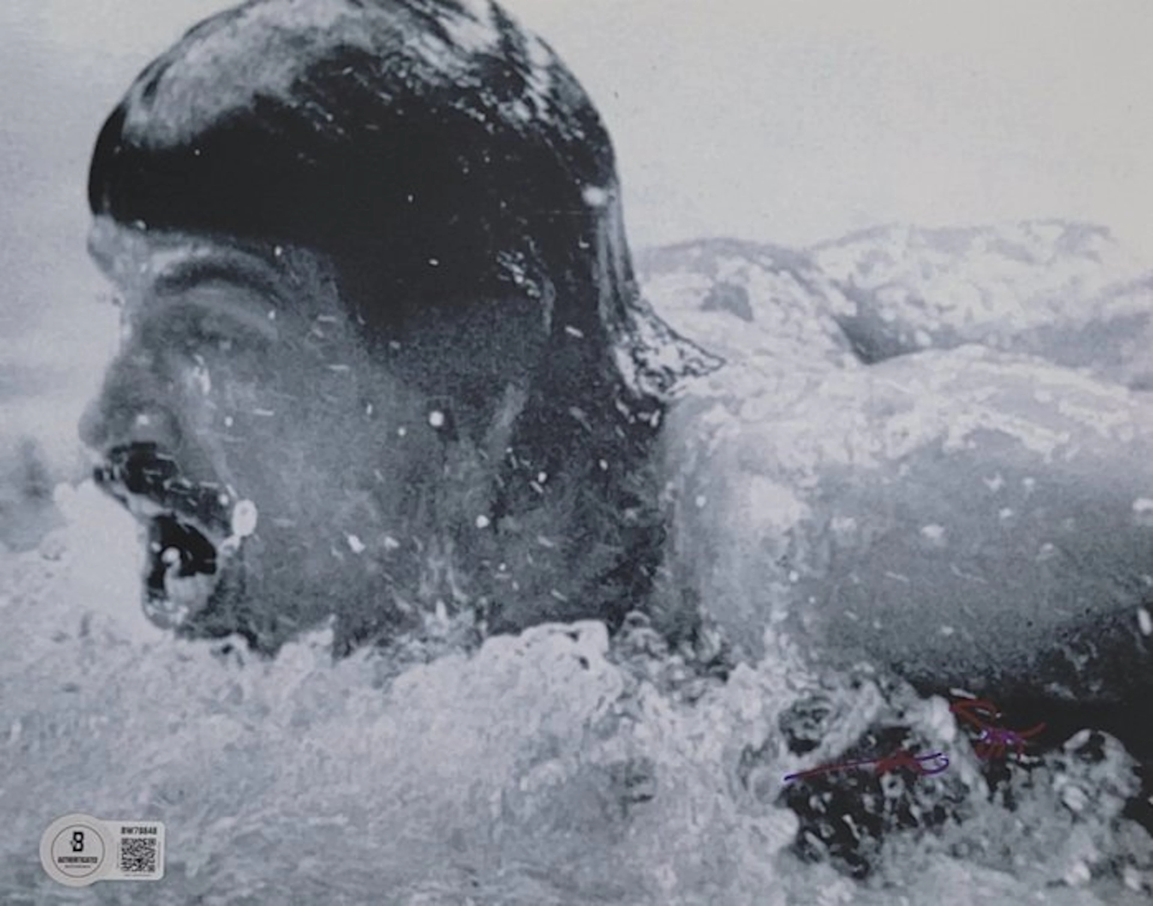 Natation - Jeux Olympique 1972 - Mark Spitz - Photograph
