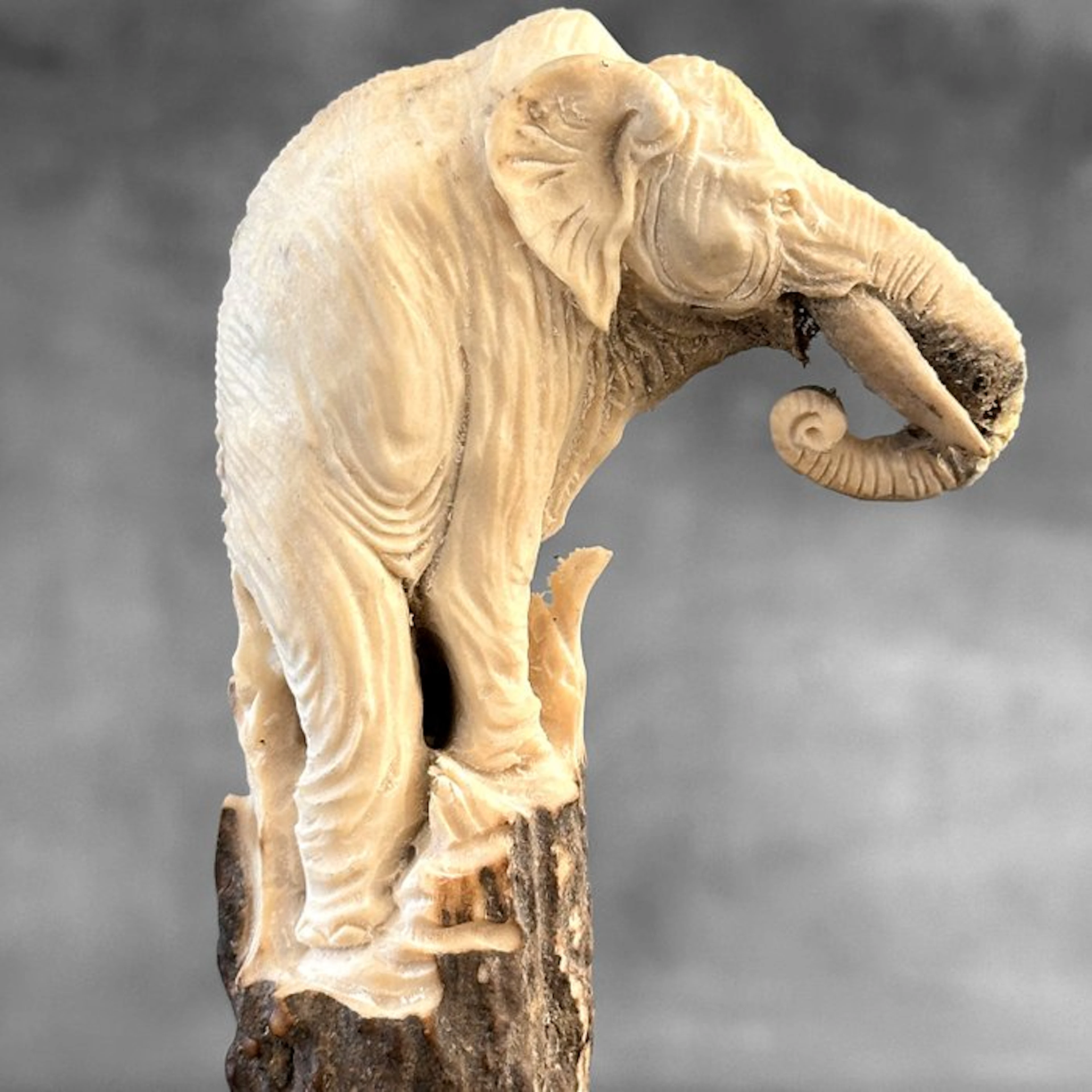 Carving, NO RESERVE PRICE - Stunning Elephant carving...