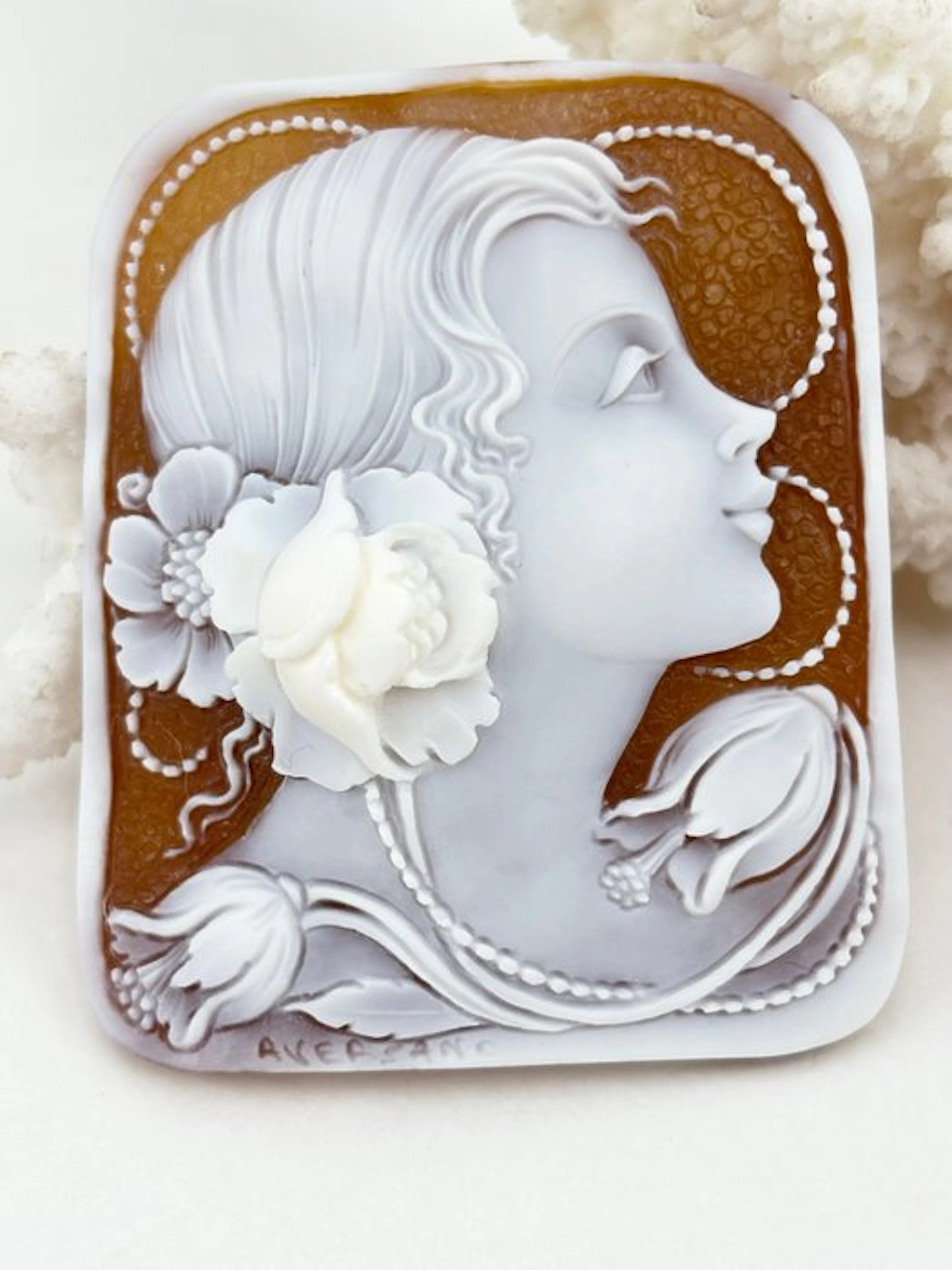 Cassis madagascariensis - Cameo - Hand-engraved cameo