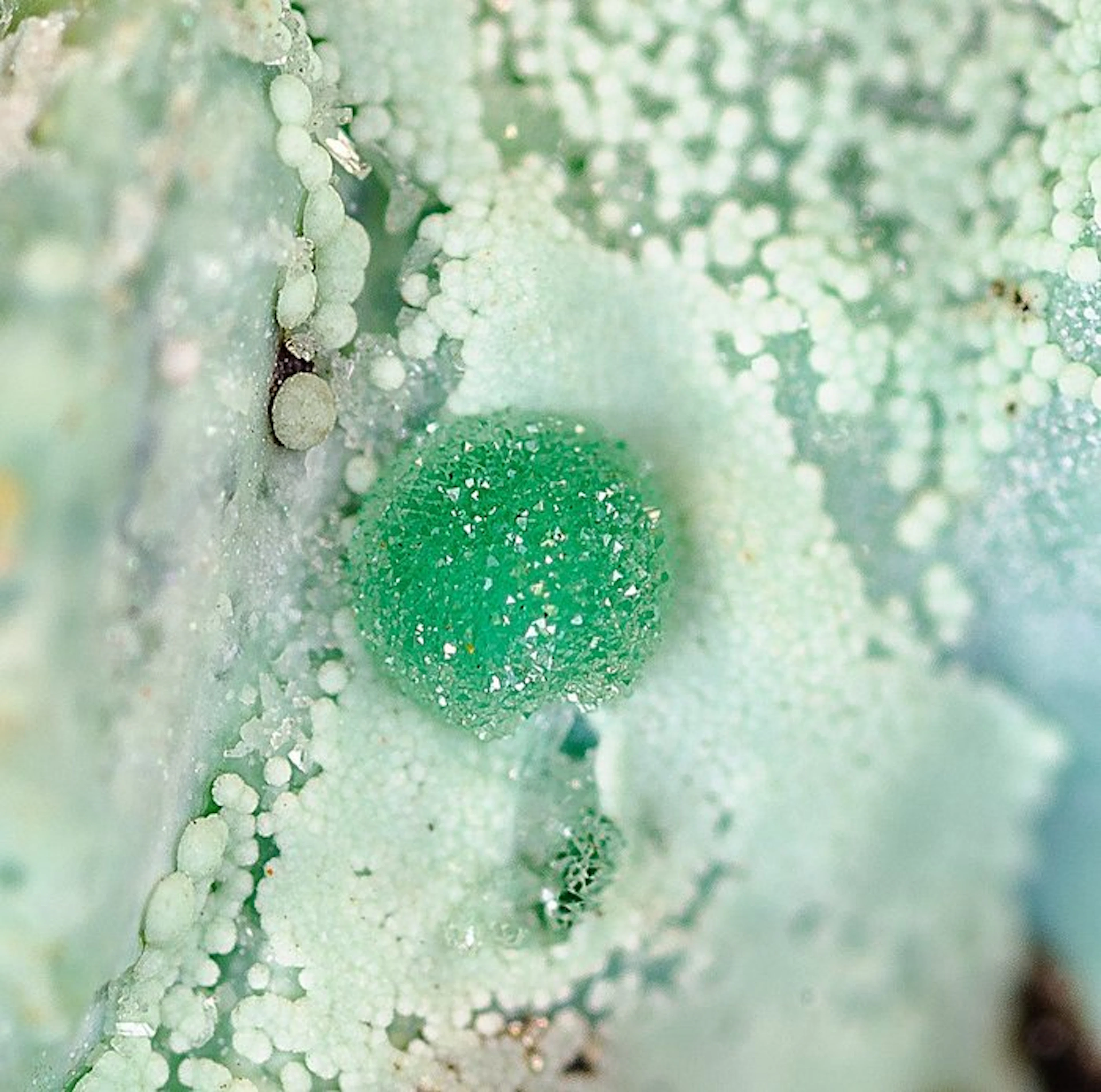 Conichalcite with Austinite on matrix Christiana 123 mine...