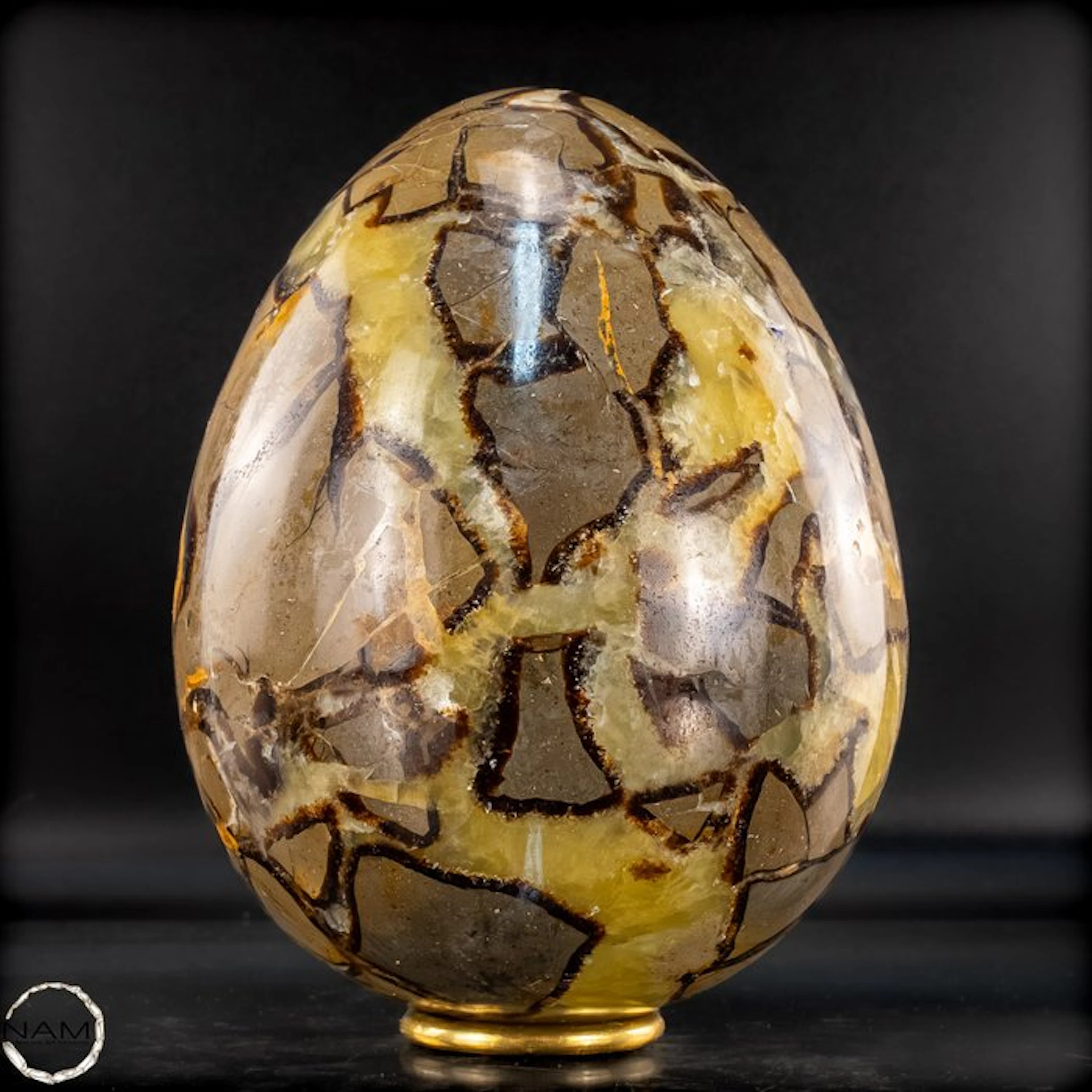 Fascinating septarian egg – The magic of primeval forms and colors- 2985.19 g