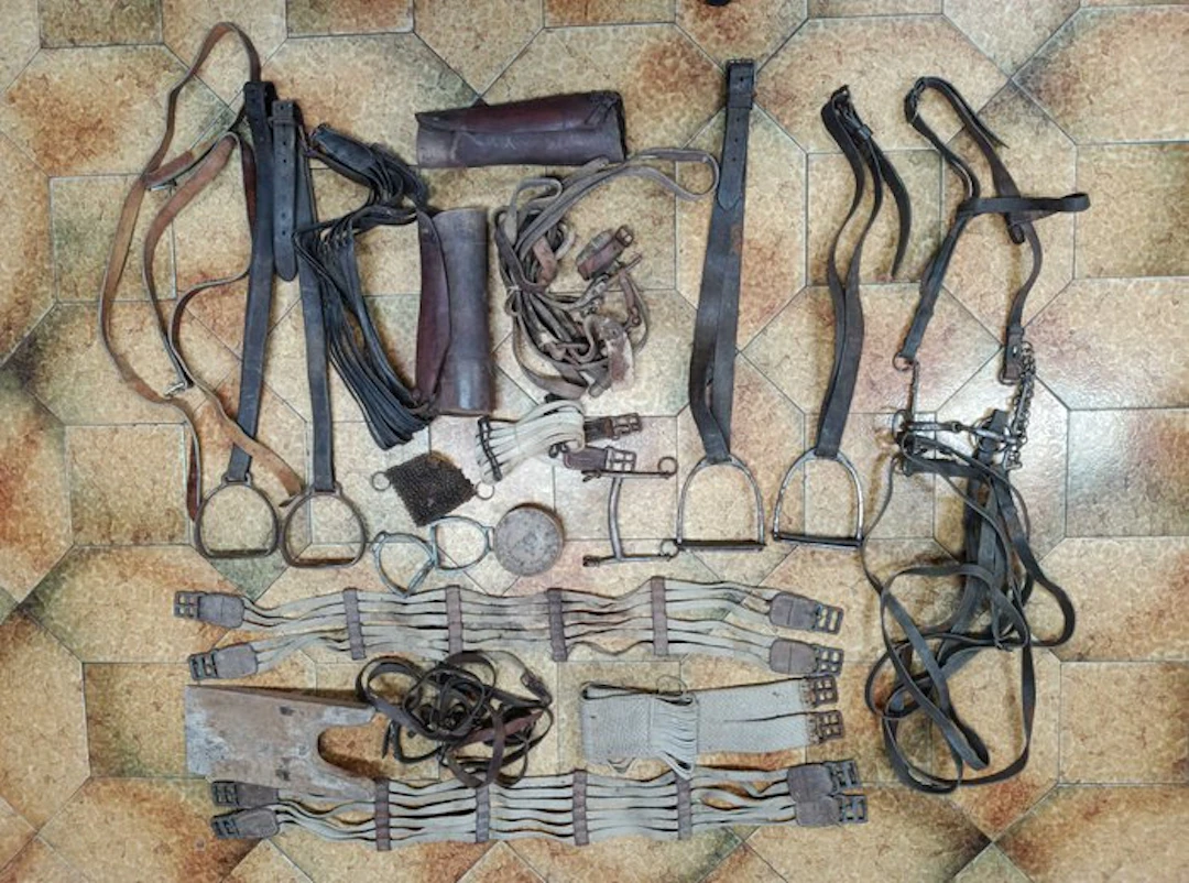 Cavalry equipment or lot, MODEL 1874-1884 - WW1 - Cavalry equipment