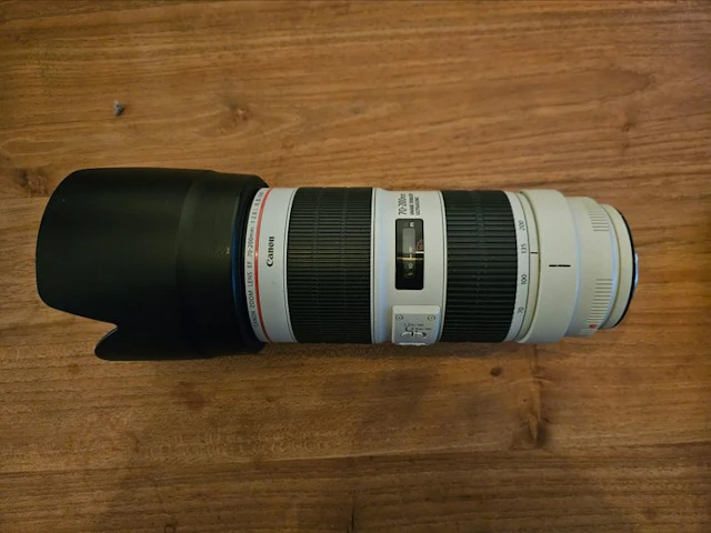 Canon EF 70-200/2.8 L IS III USM Telelens