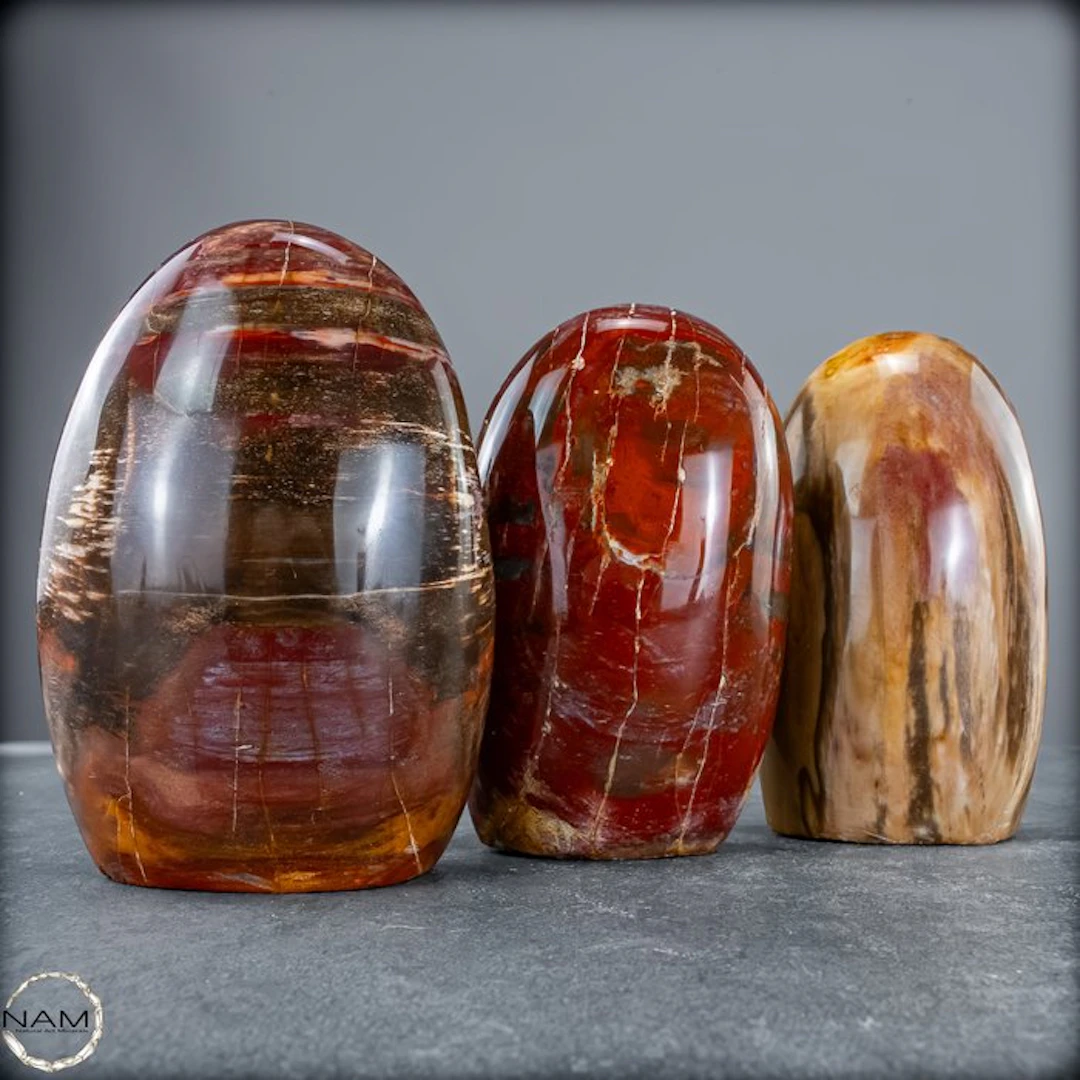 Beautiful set of petrified wood – Freeforms- 2060.37 g - (3)