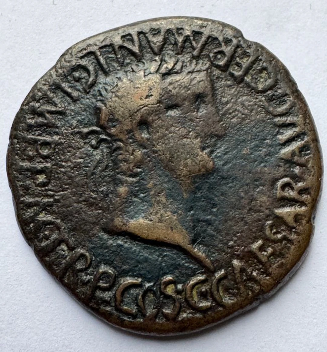 Roman Empire (Provincial). Caligula (AD 37-41). As Carthagonova mint