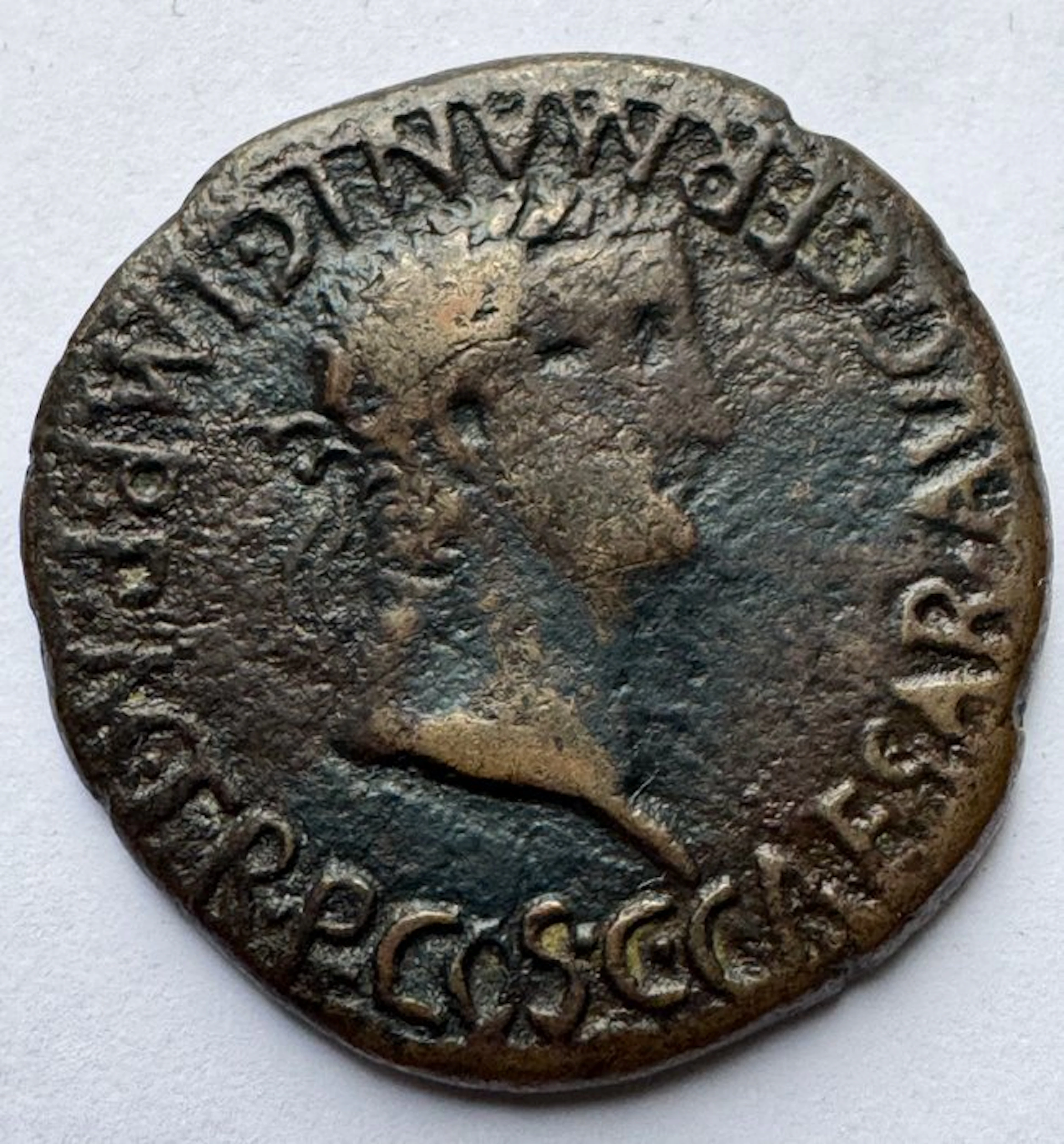 Roman Empire (Provincial). Caligula (AD 37-41). As Carthagonova mint