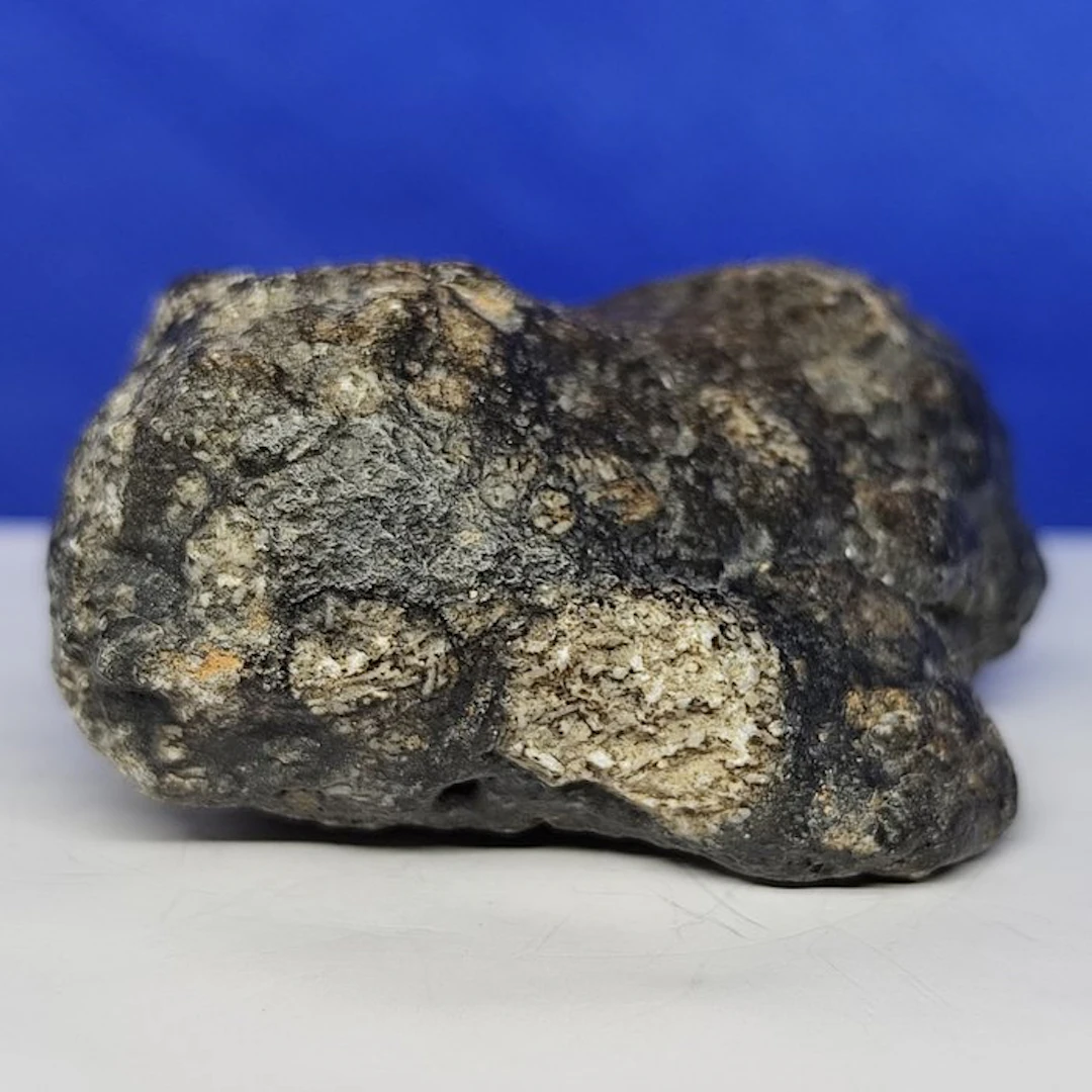 Amazing!!! EUCRITE MELT BRECCIA