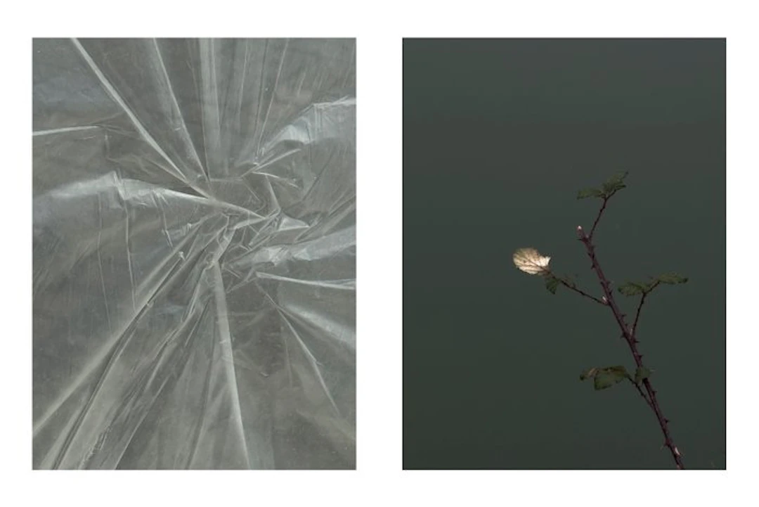 Susana Galbis - The void and the nude II