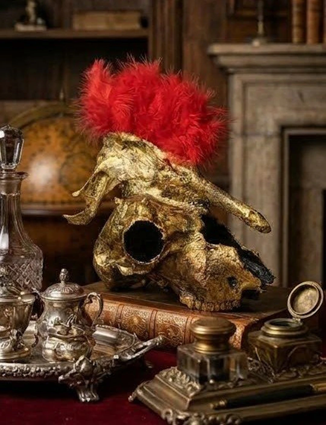 Sheep Mammal skull - Ovis aries - 30 cm - 15 cm - 30 cm - (1)