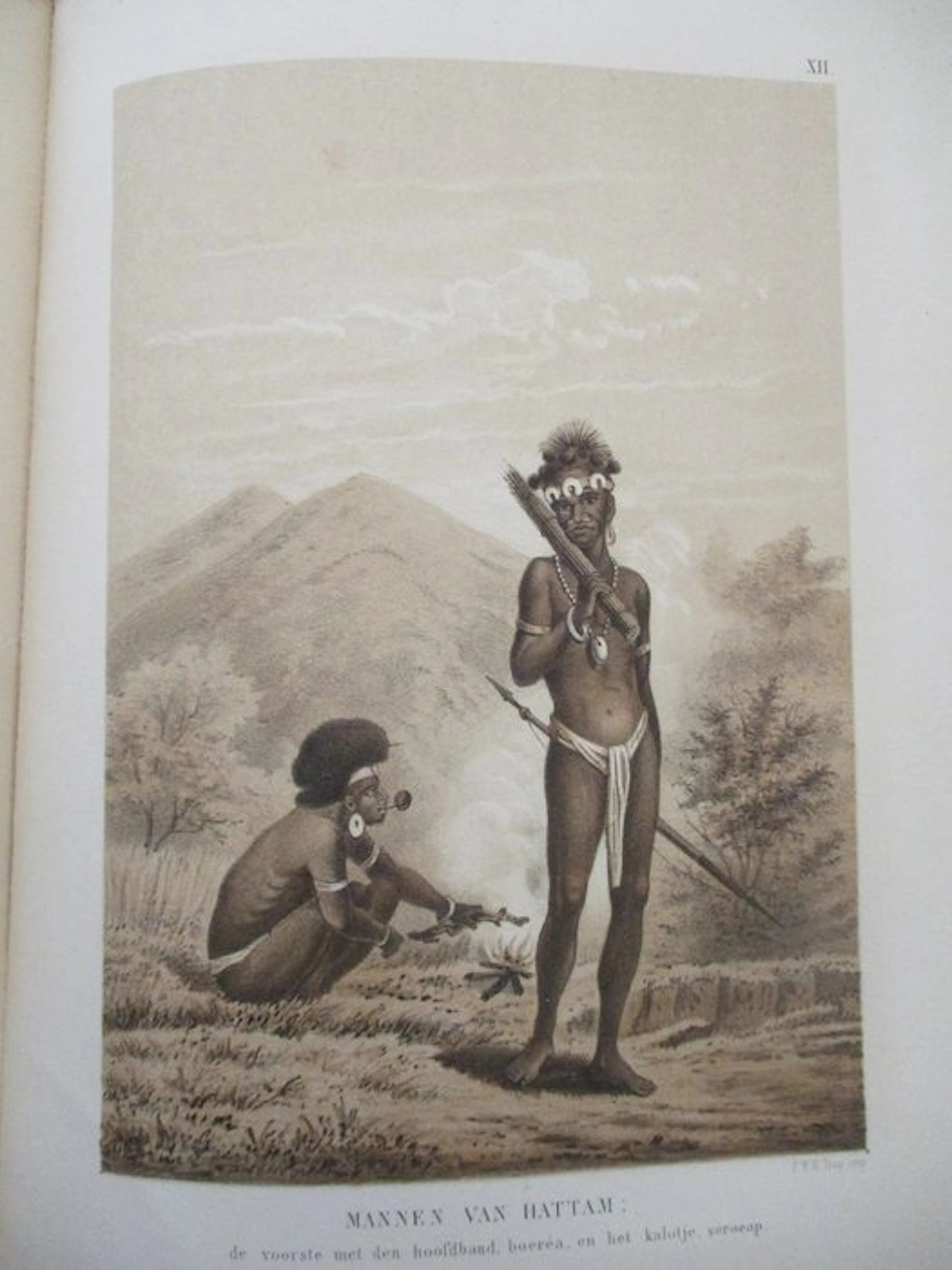 C. B. H. von Rosenberg - Reistochten naar de Geelvinkbaai of Nieuw-Guinea