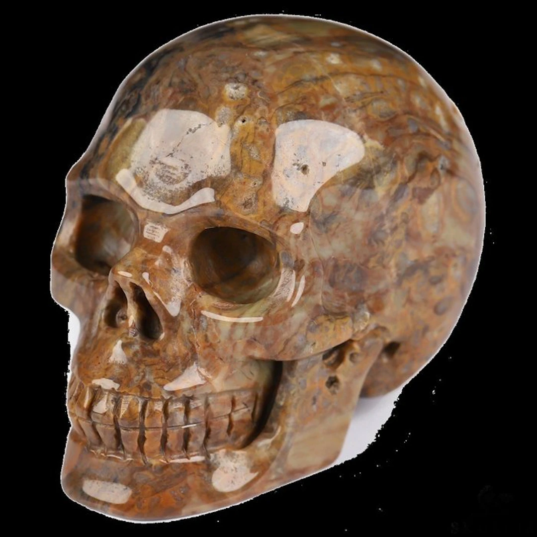 World Rarity 87 g 5.20 x 3.00 cm AA Dinosaur Gembone Utah...