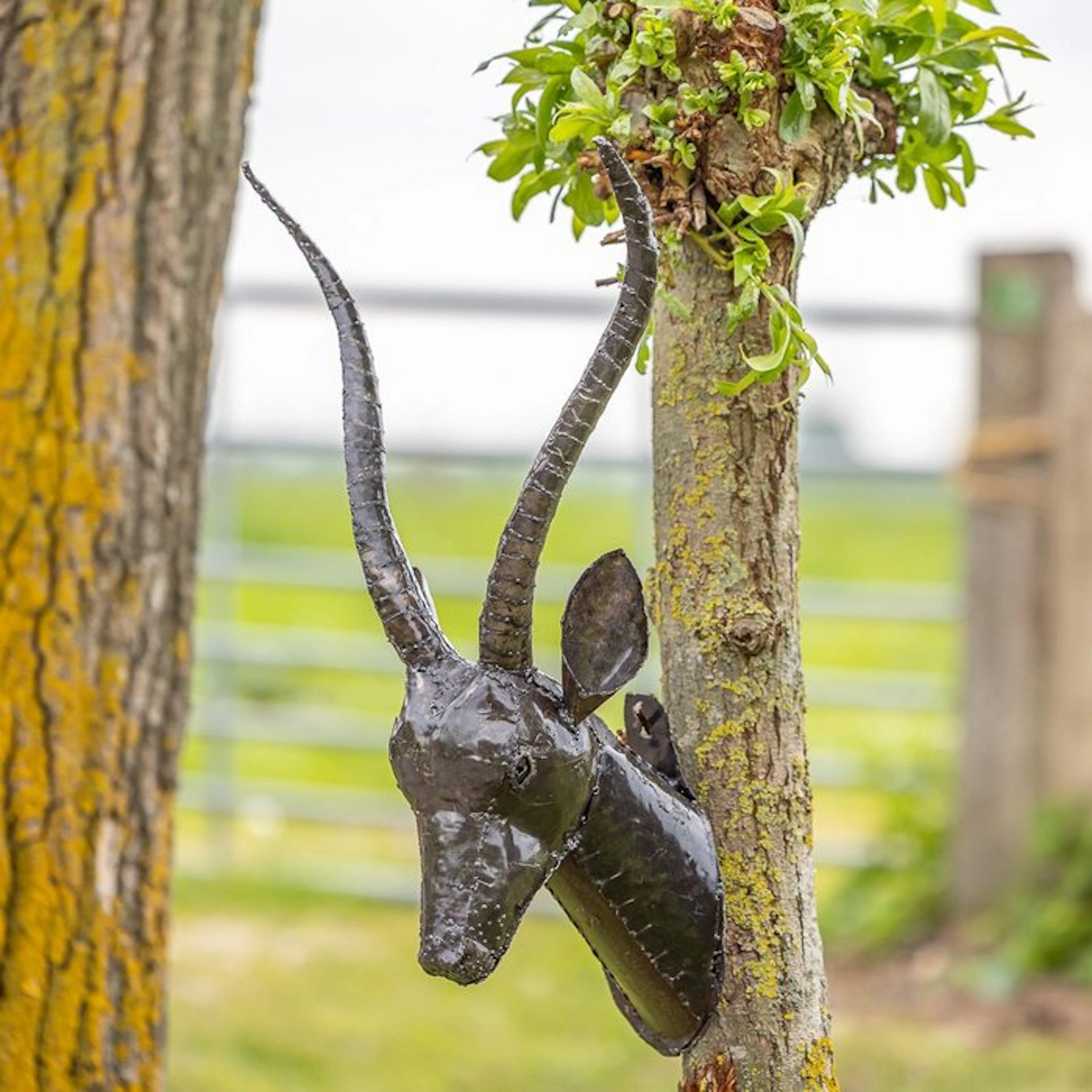 Sculpture, Gazellekop als wandhanger - 800 mm - Metal