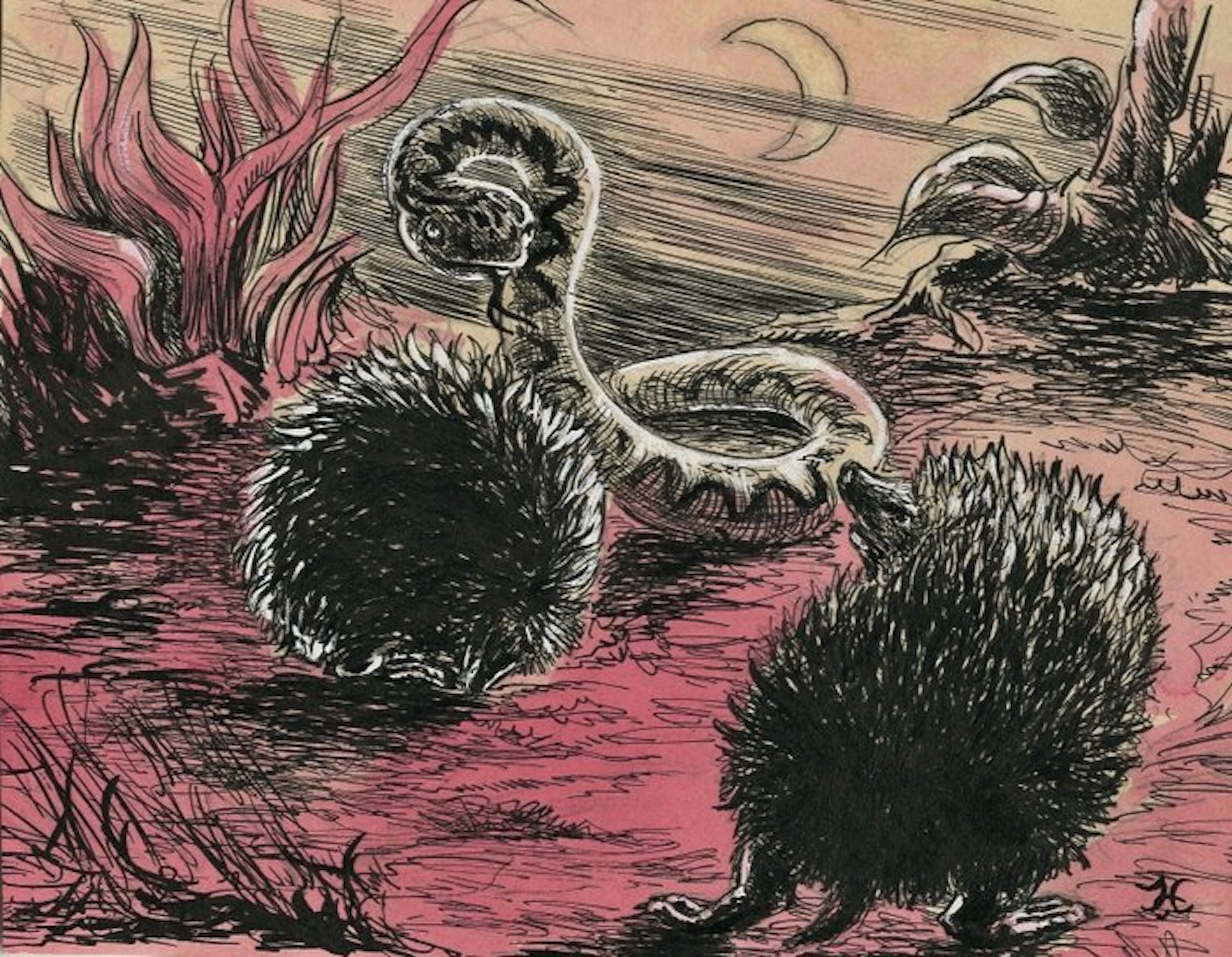 Marten Toonder Studio's (Van Hunnik