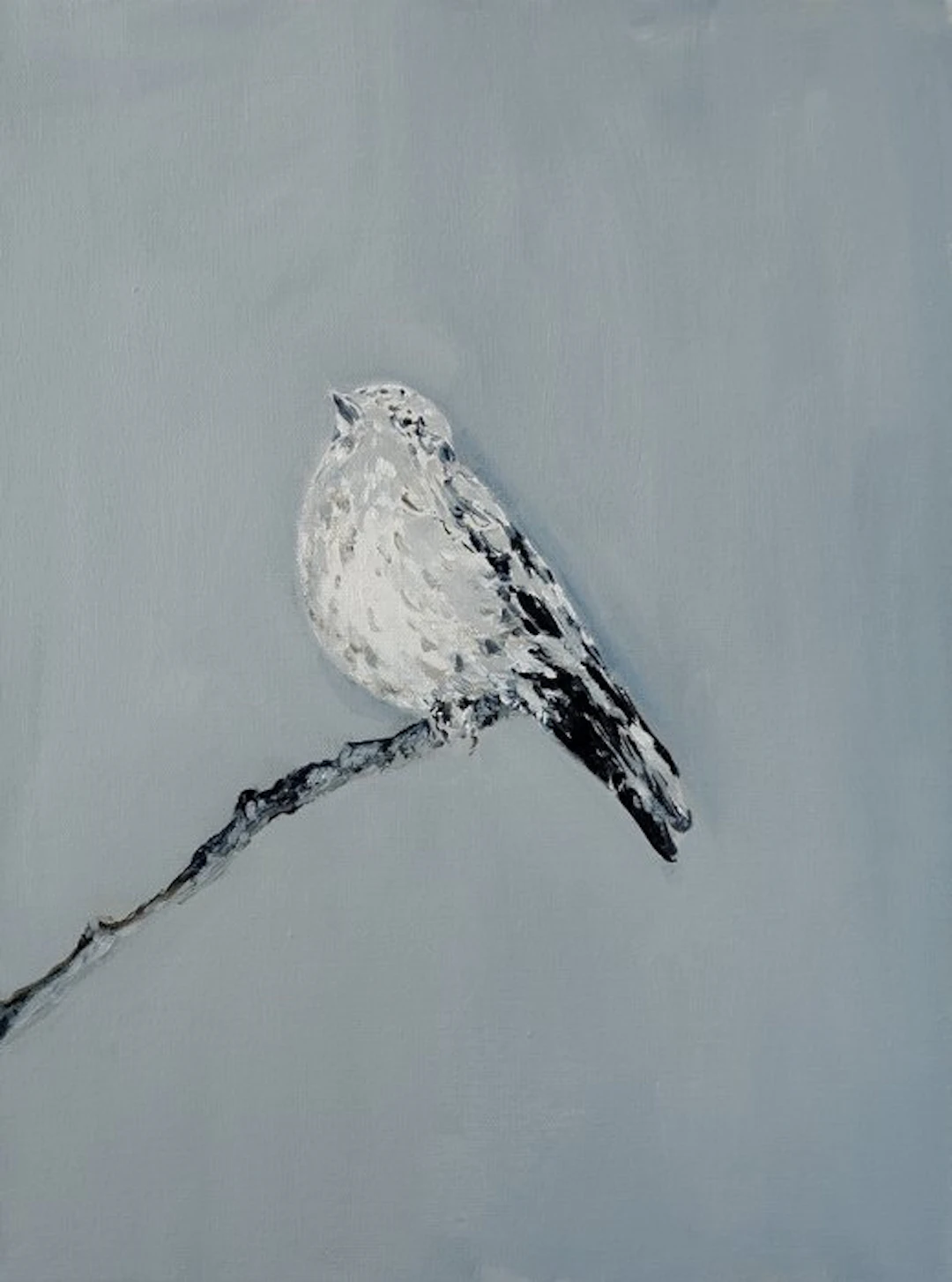 Matthieu van Riel - Bird