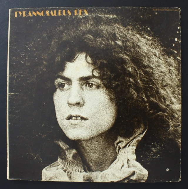Tyrannosaurus Rex - Tyrannosaurus Rex – A Beard Of Stars...