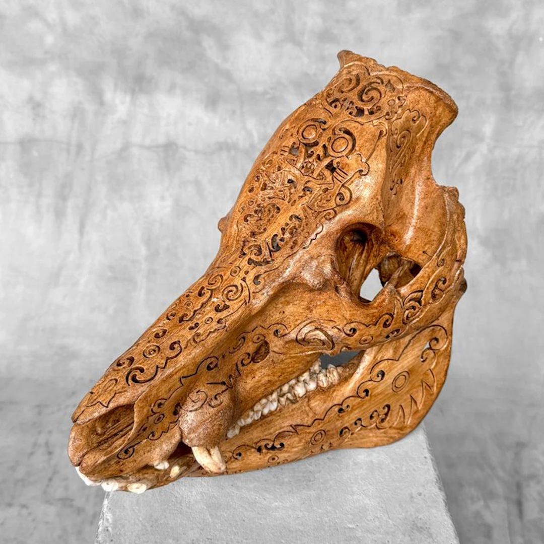 NO RESERVE PRICE - Carved Patina Wild Boar Skull - Tribal...