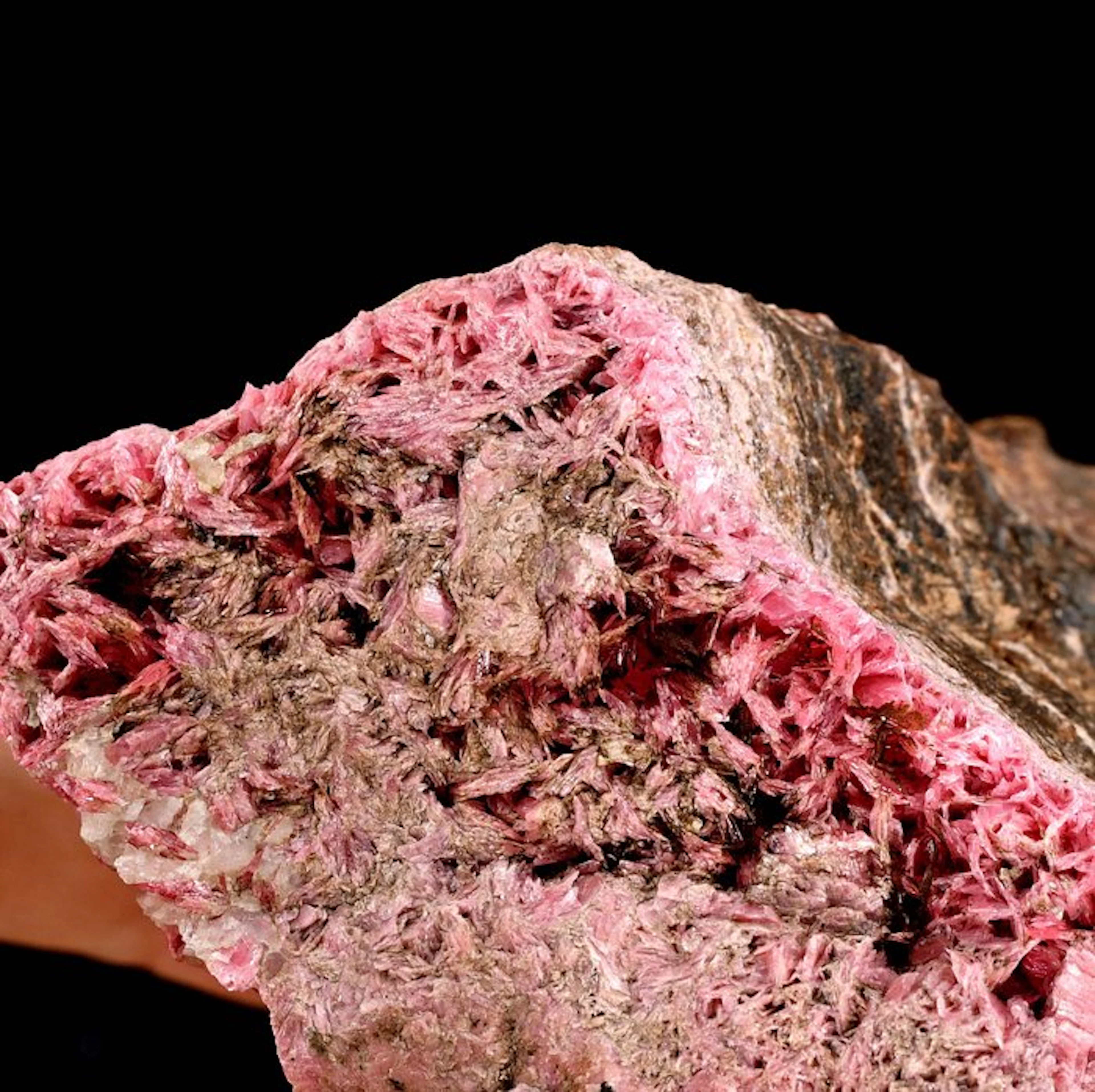 High quality fibrous deep pink Rhodonite from Gambatesa...