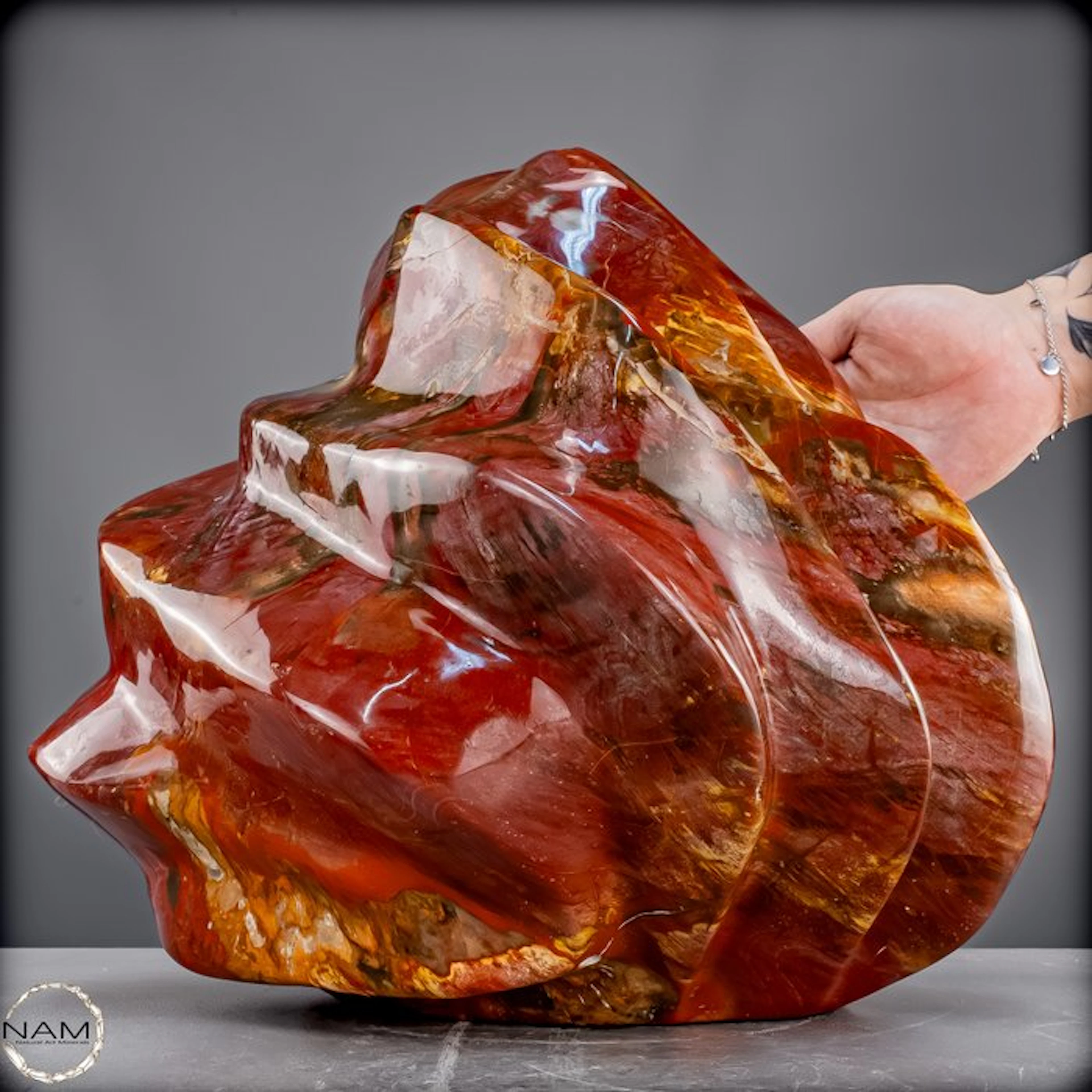 Impressive petrified wood flame from Madagascar – Natural...