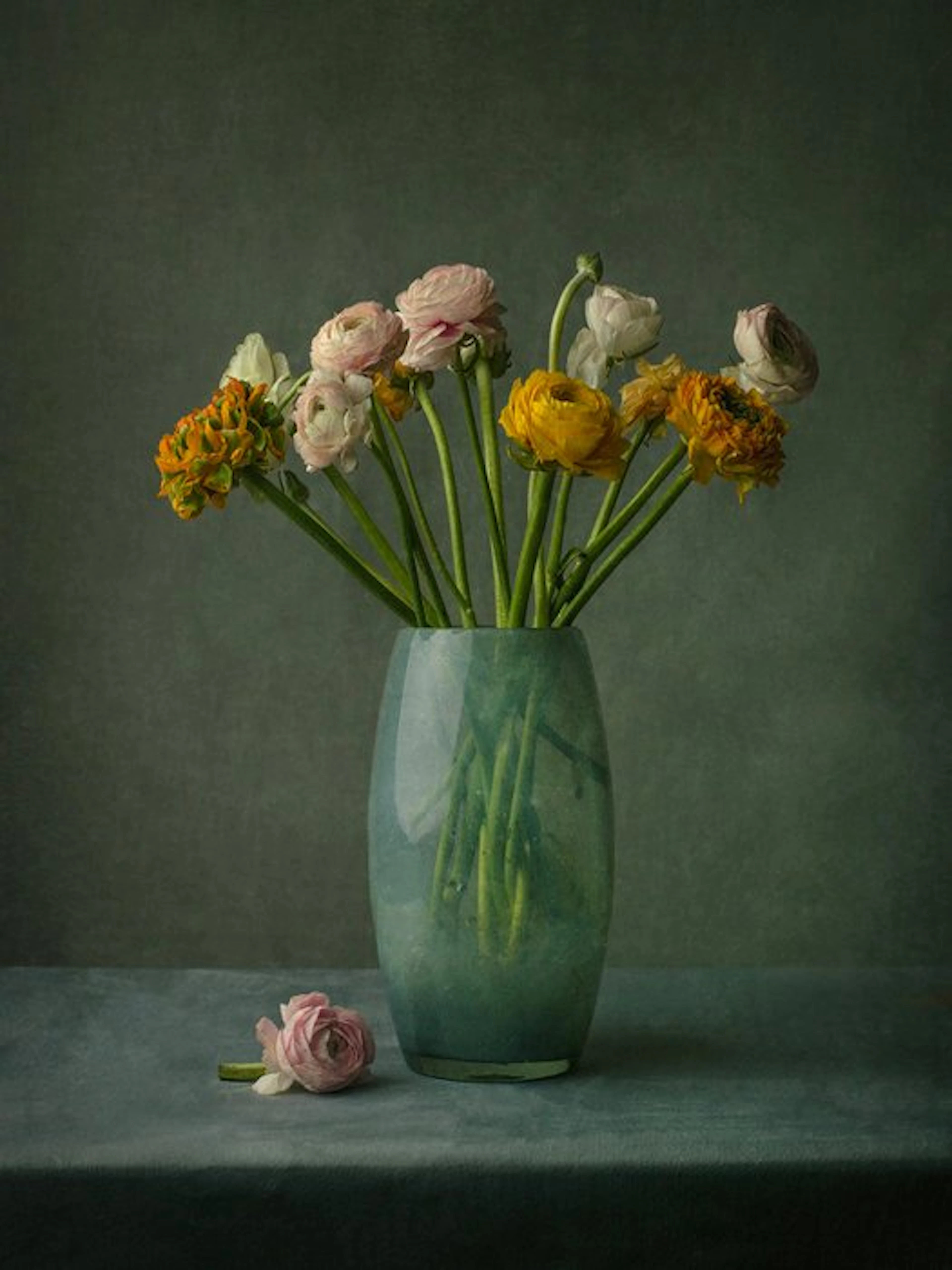 Tessa Posthuma de Boer - Ranunculus #2