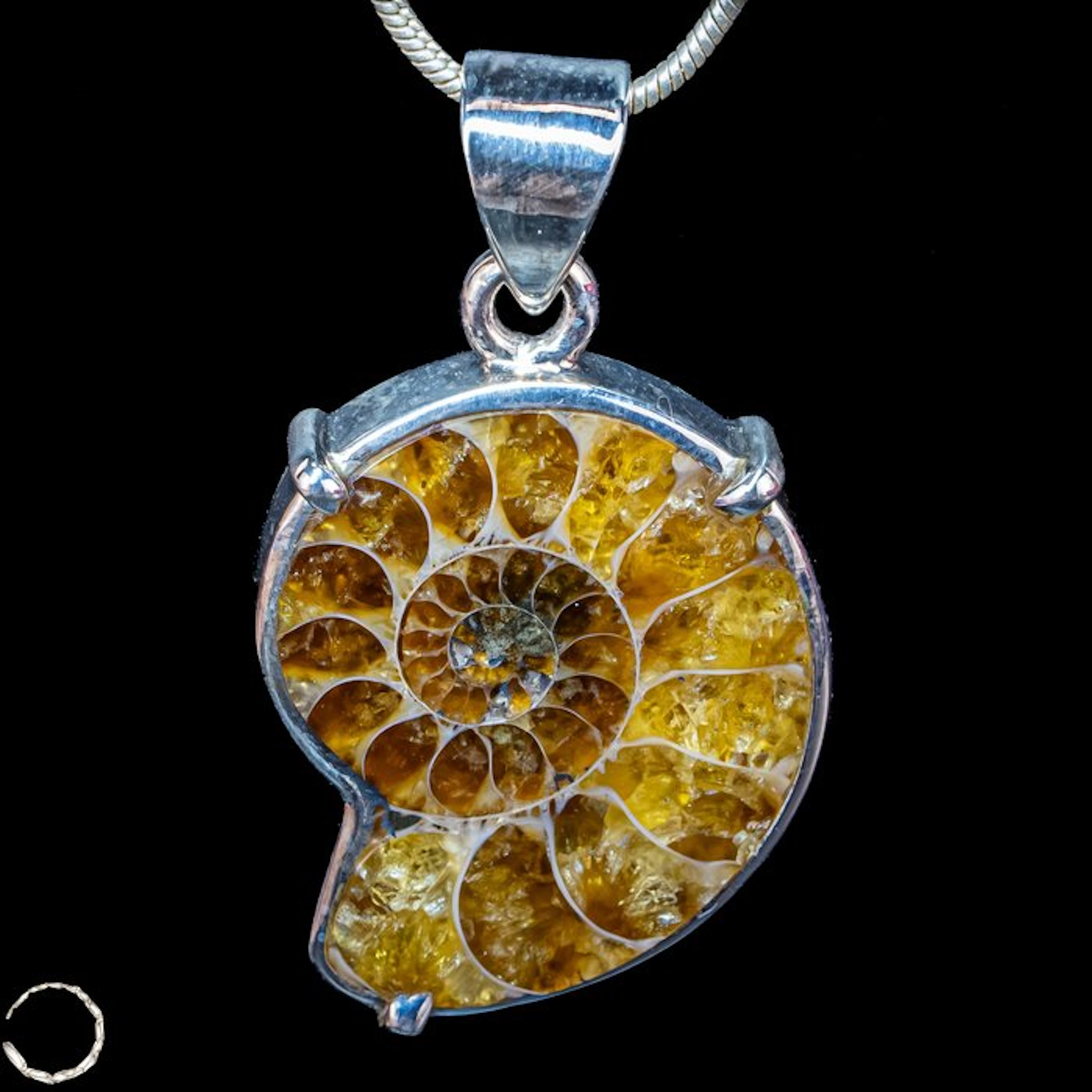 Very rare ammonite - fossil fragment 925 silver pendant - 32.25ct- 6.45 g