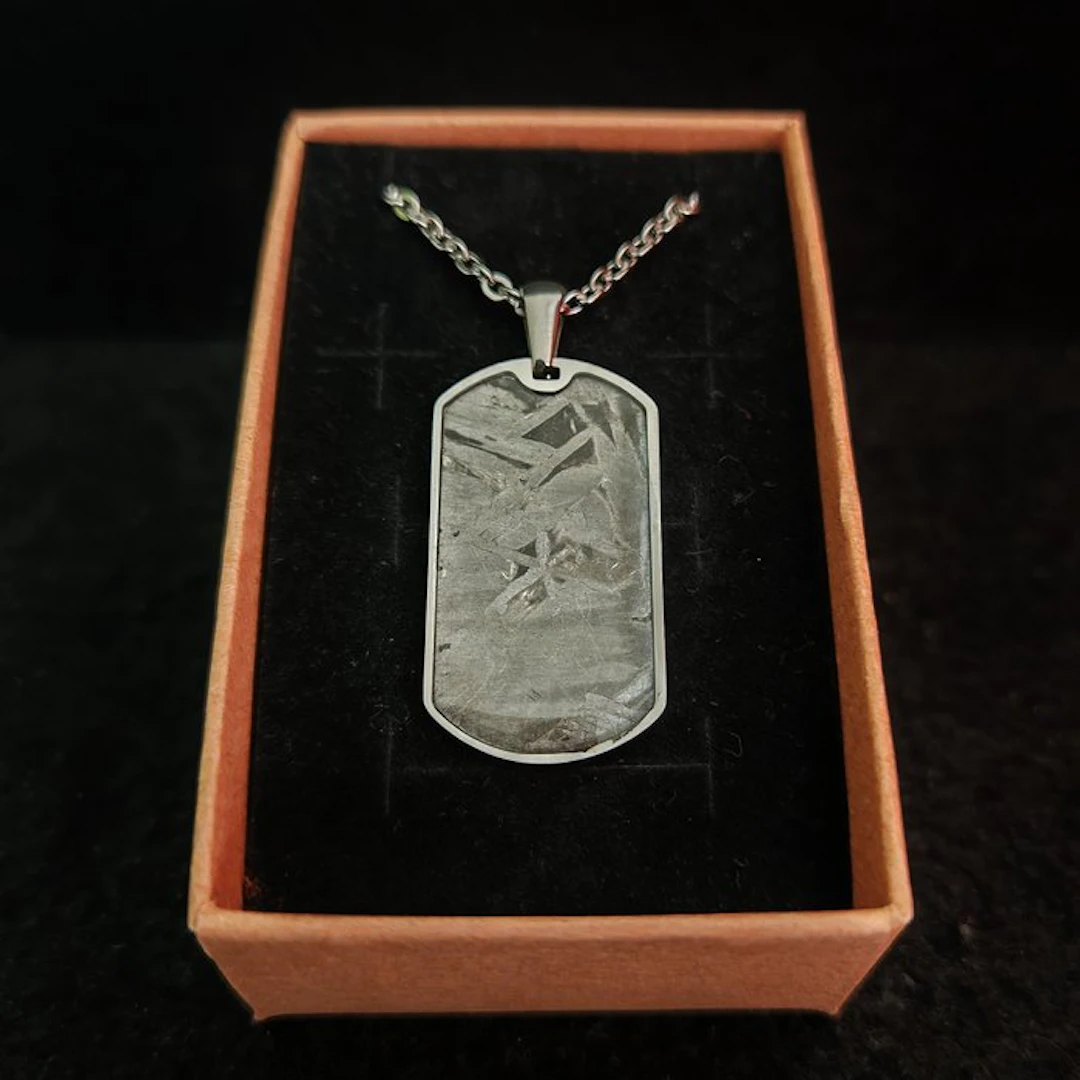 Stainless steel and meteorite pendant with stainless steel chain