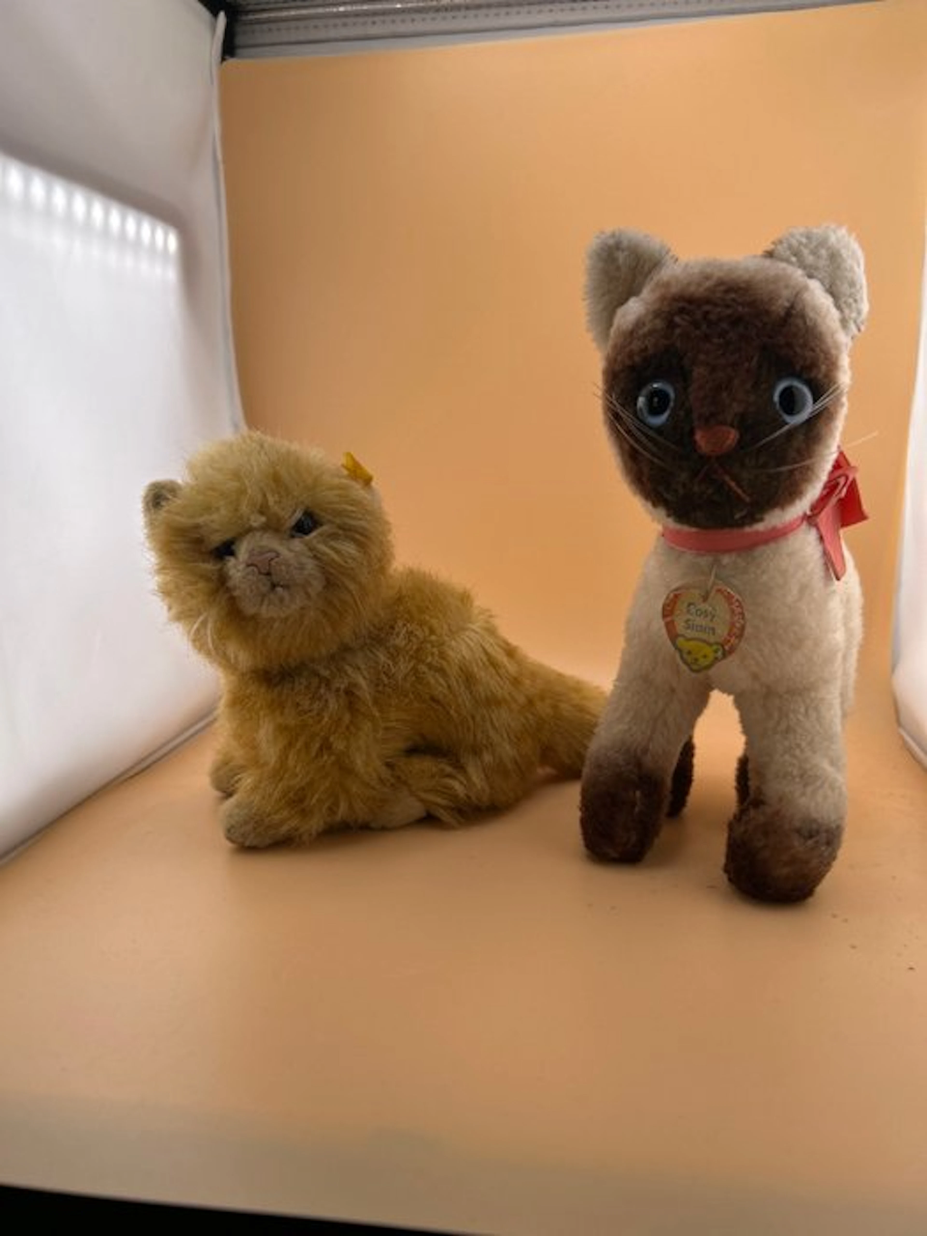Steiff - Plush toy Cosy Siam; gelbe Perserkatze - 1960-1970