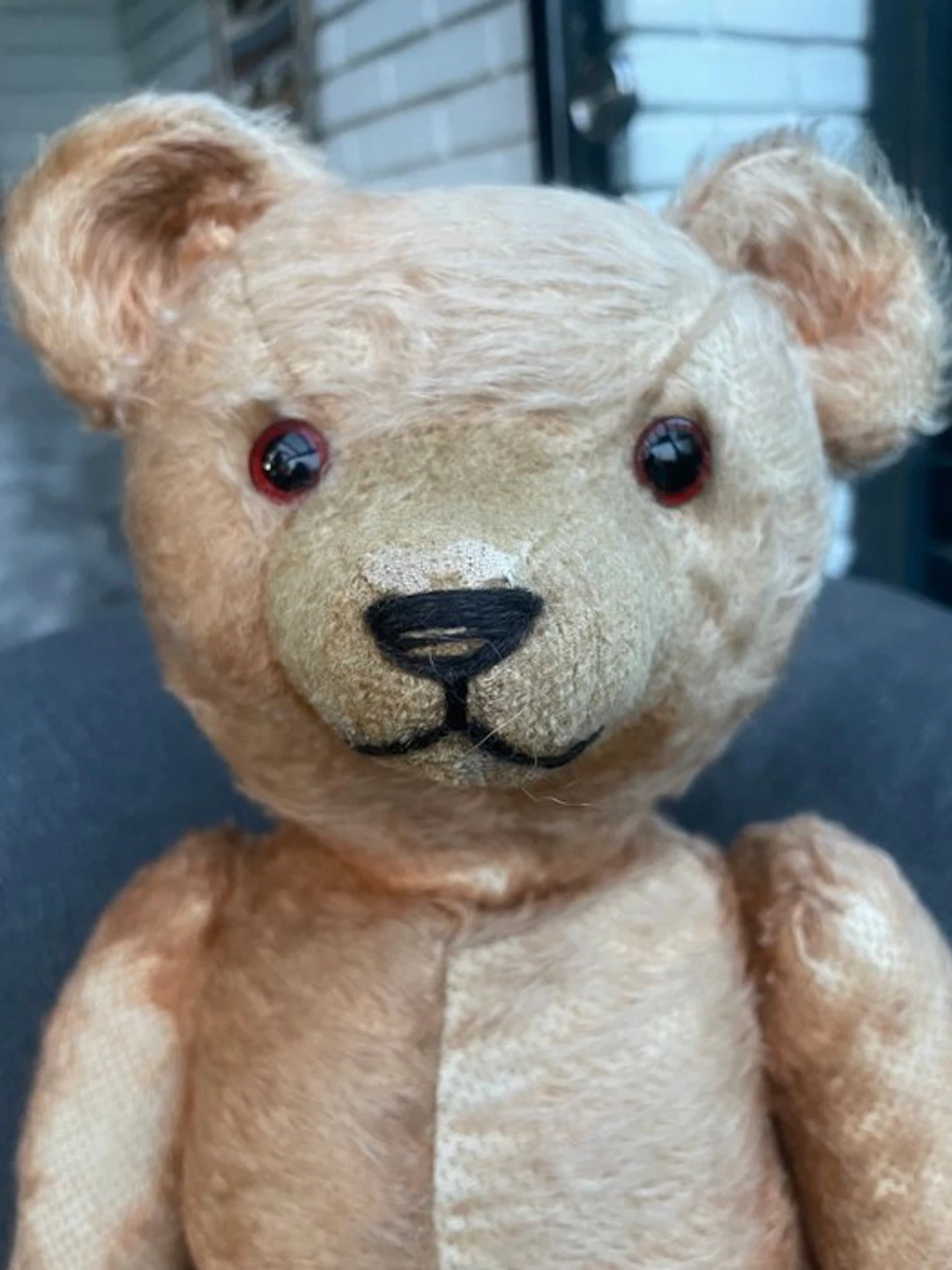 Jopi - Plush animal Jopi - 1920-1930 - Germany