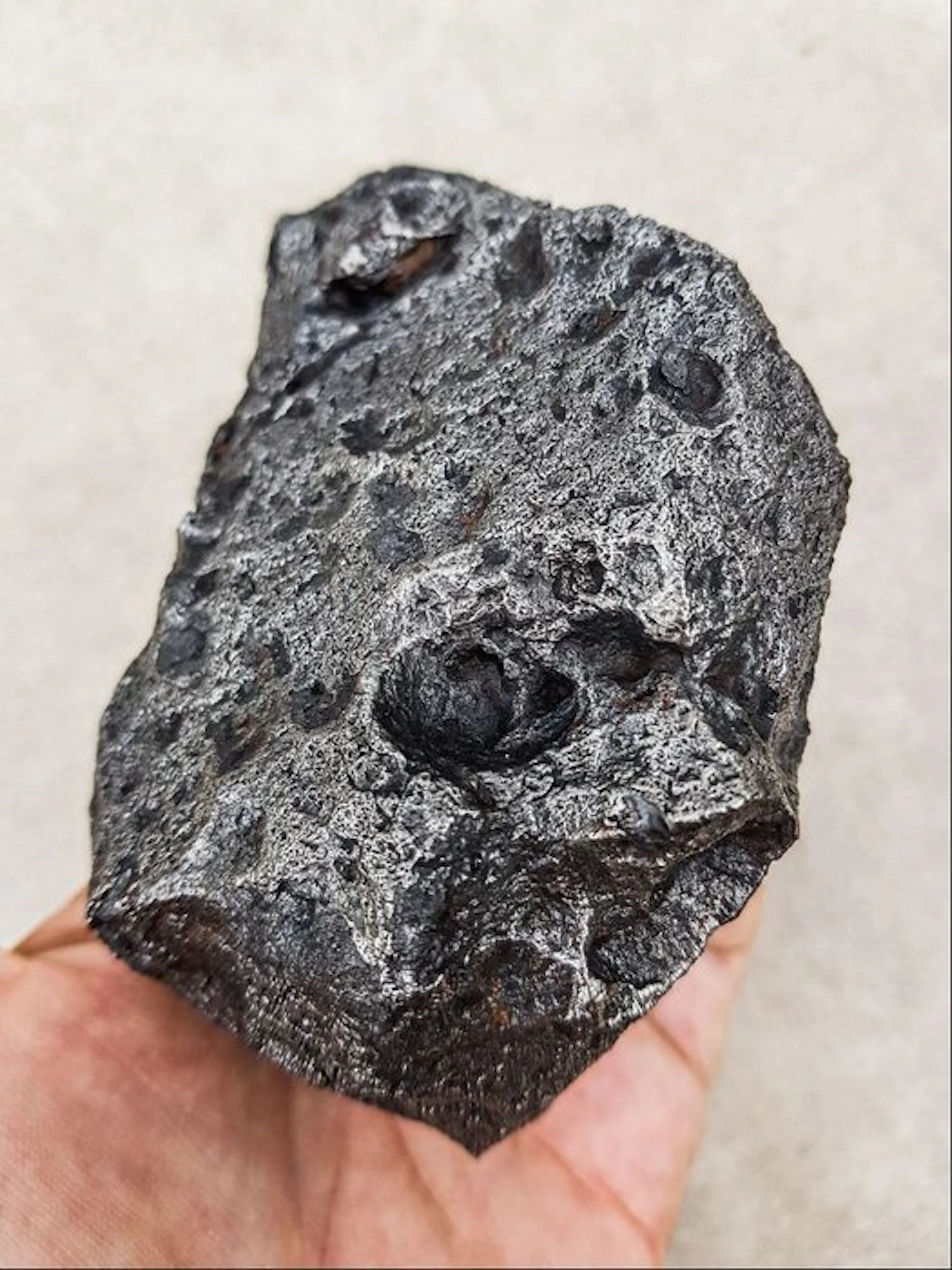 Campo del Cielo meteorite Iron meteorite - Height: 11 cm...