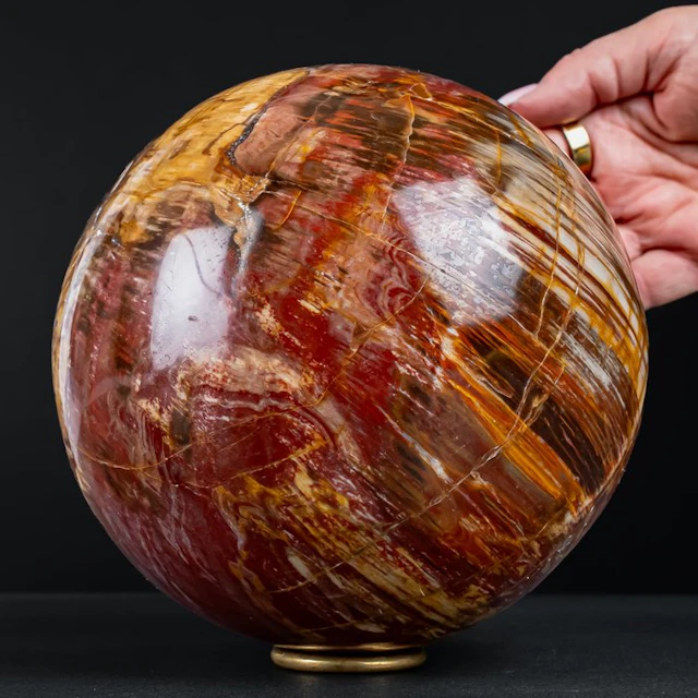 Natural fossil wood ball – rare petrification with warm