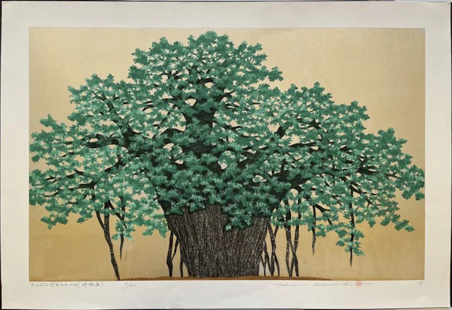 LARGE, RARE: Hinpun Gajumaru - 2 (Okinawa) - Hajime Namiki 並木一 (b 1947) - Japan