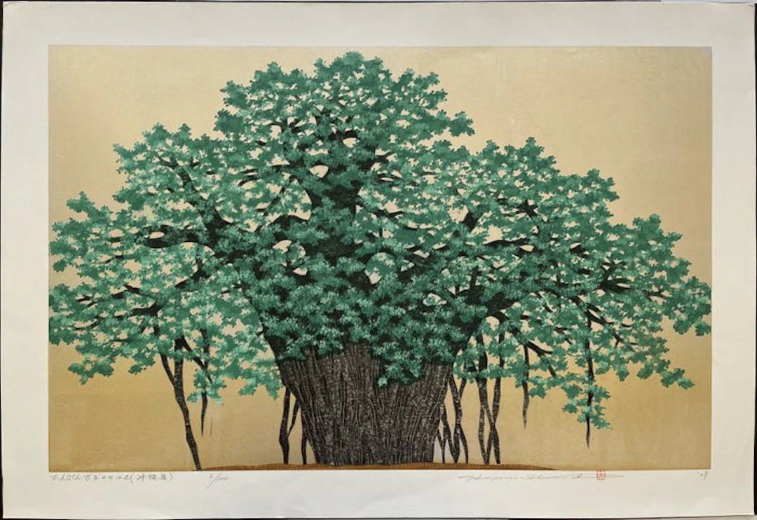 LARGE, RARE: Hinpun Gajumaru - 2 (Okinawa) - Hajime Namiki 並木一 (b 1947) - Japan