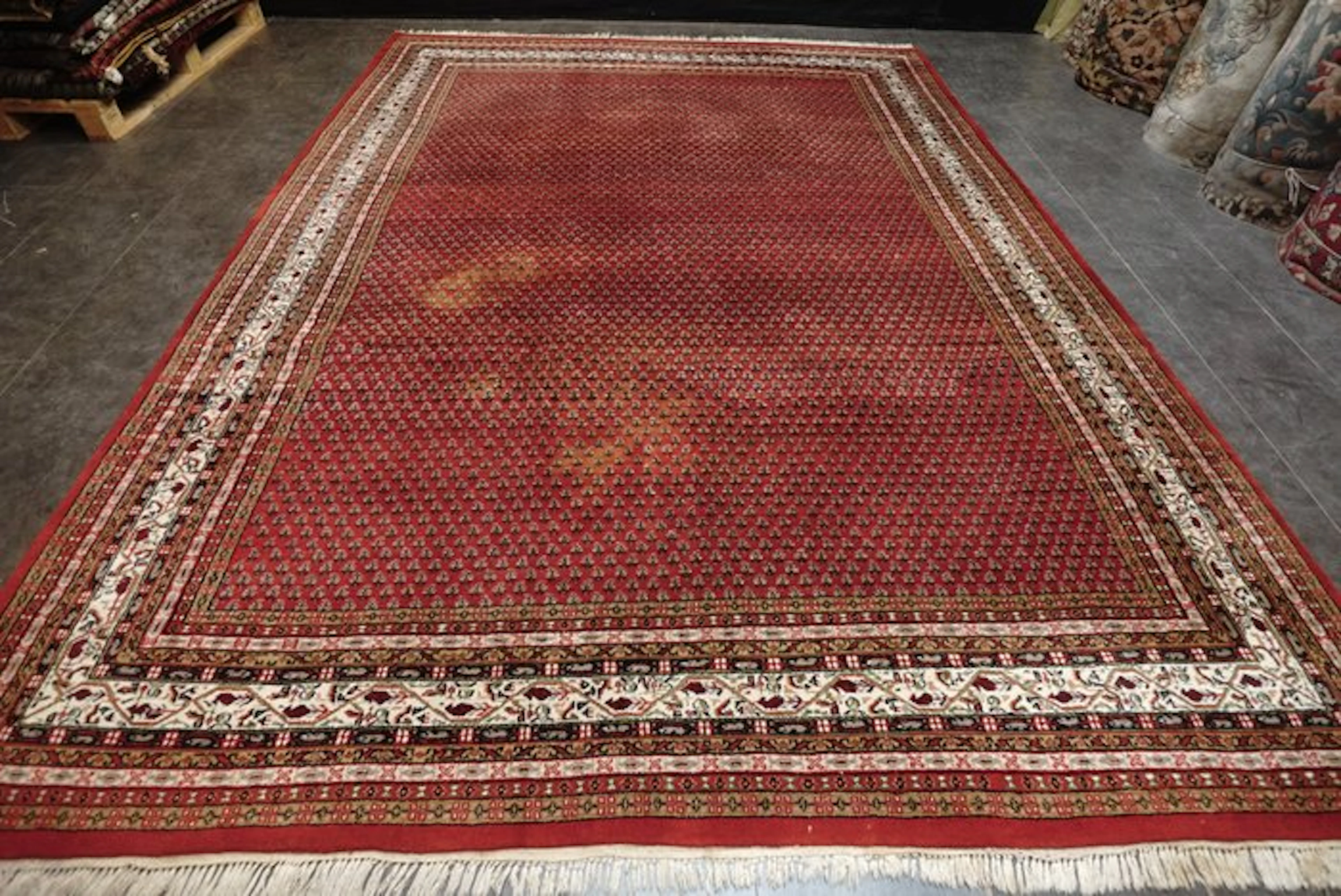Sarough Mir - Carpet - 340 cm - 250 cm