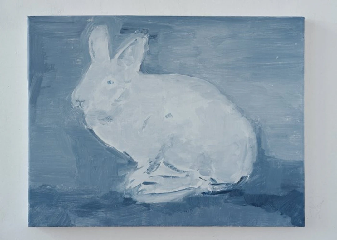 Matthieu van Riel - Rabbit