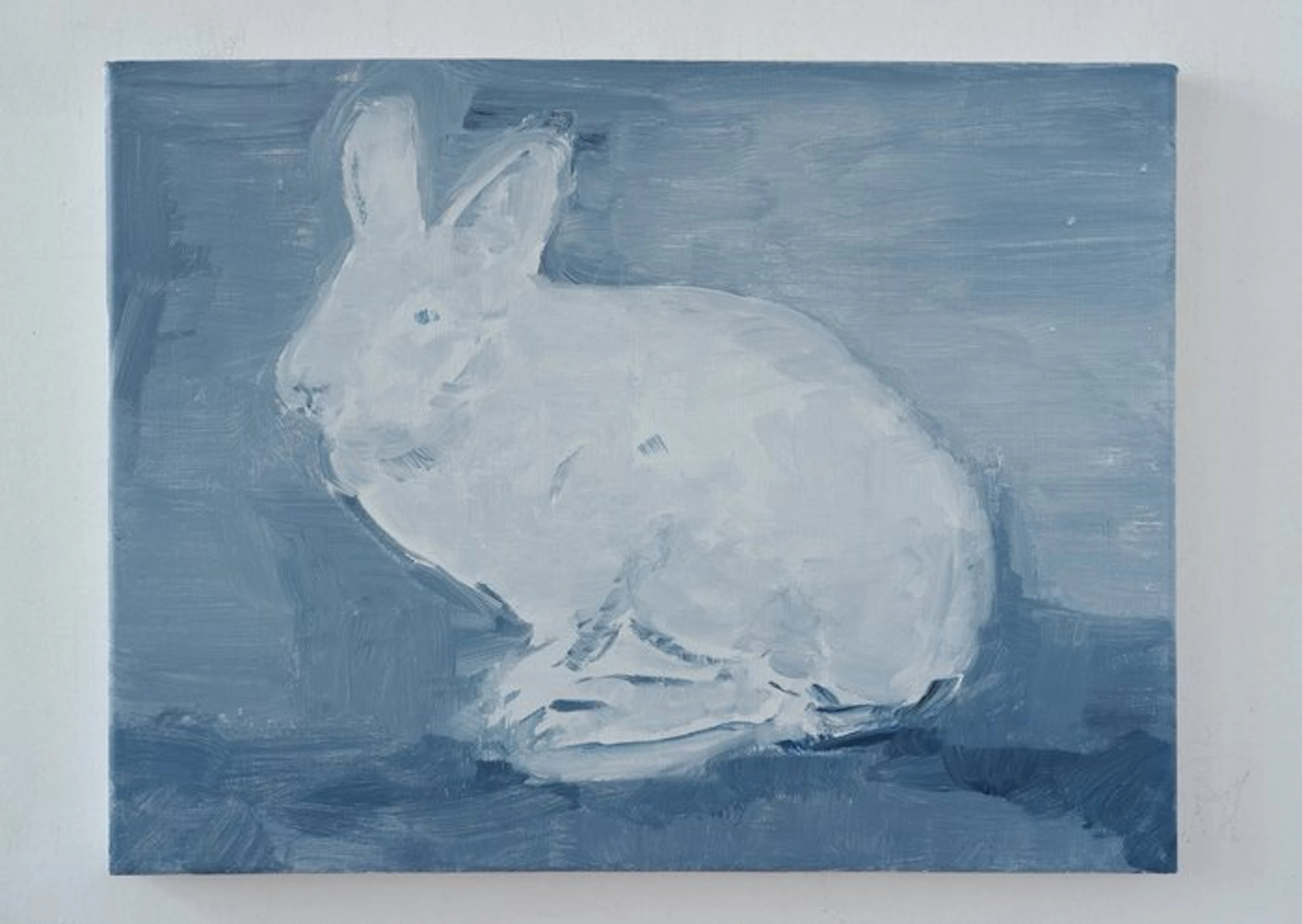 Matthieu van Riel - Rabbit