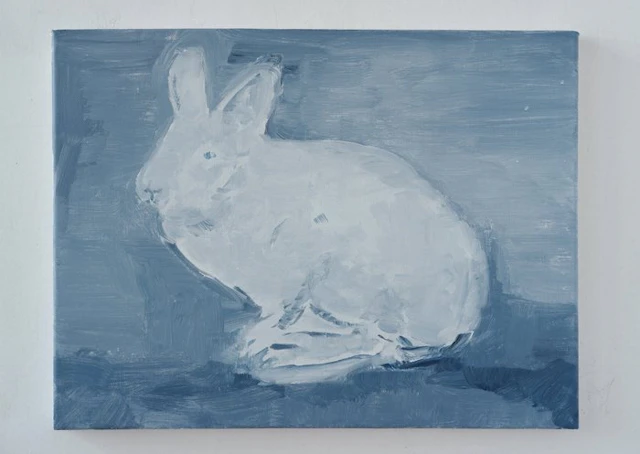 Matthieu van Riel - Rabbit