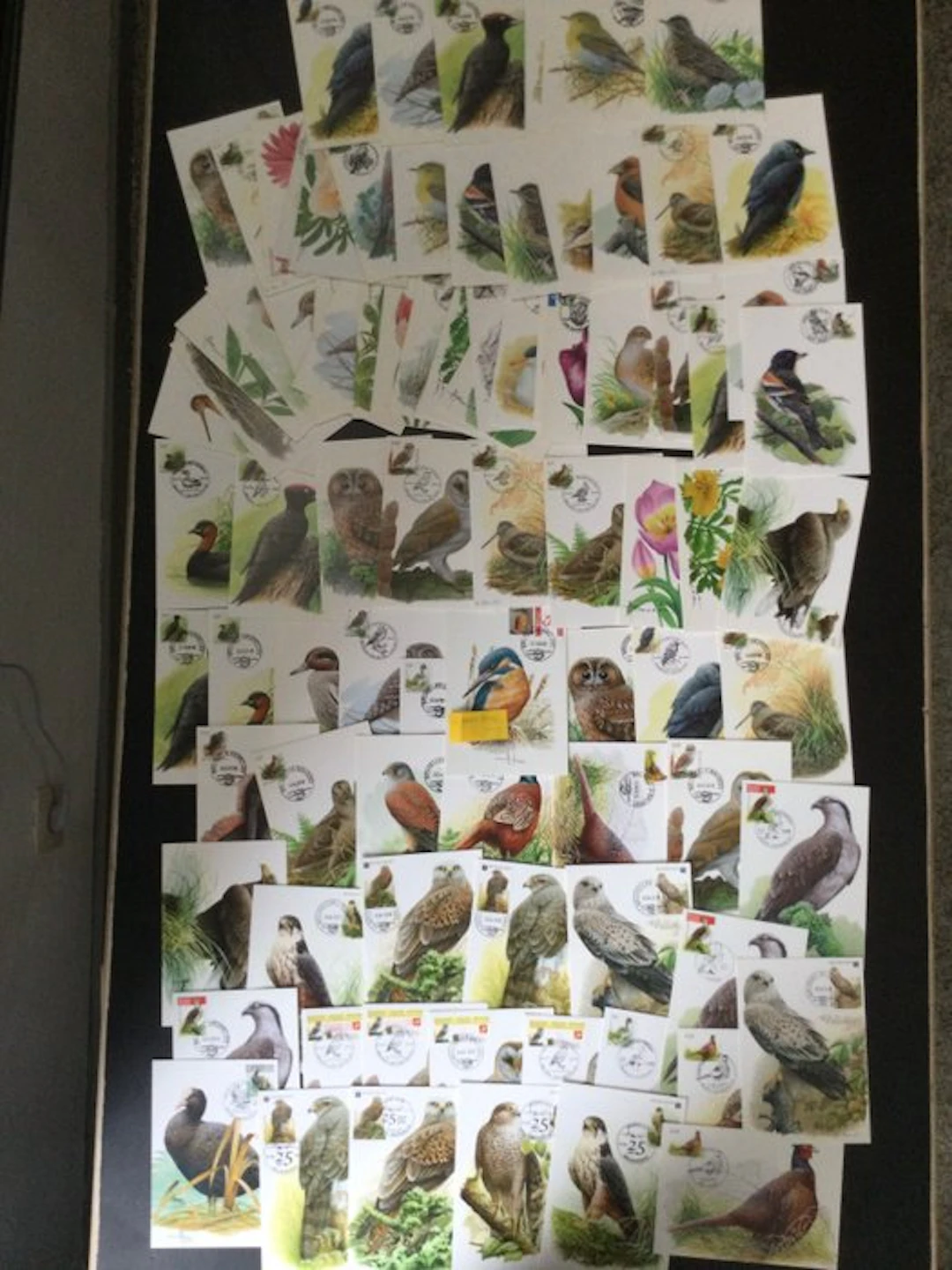 Belgium 2000/2010 - Max Buzin card set